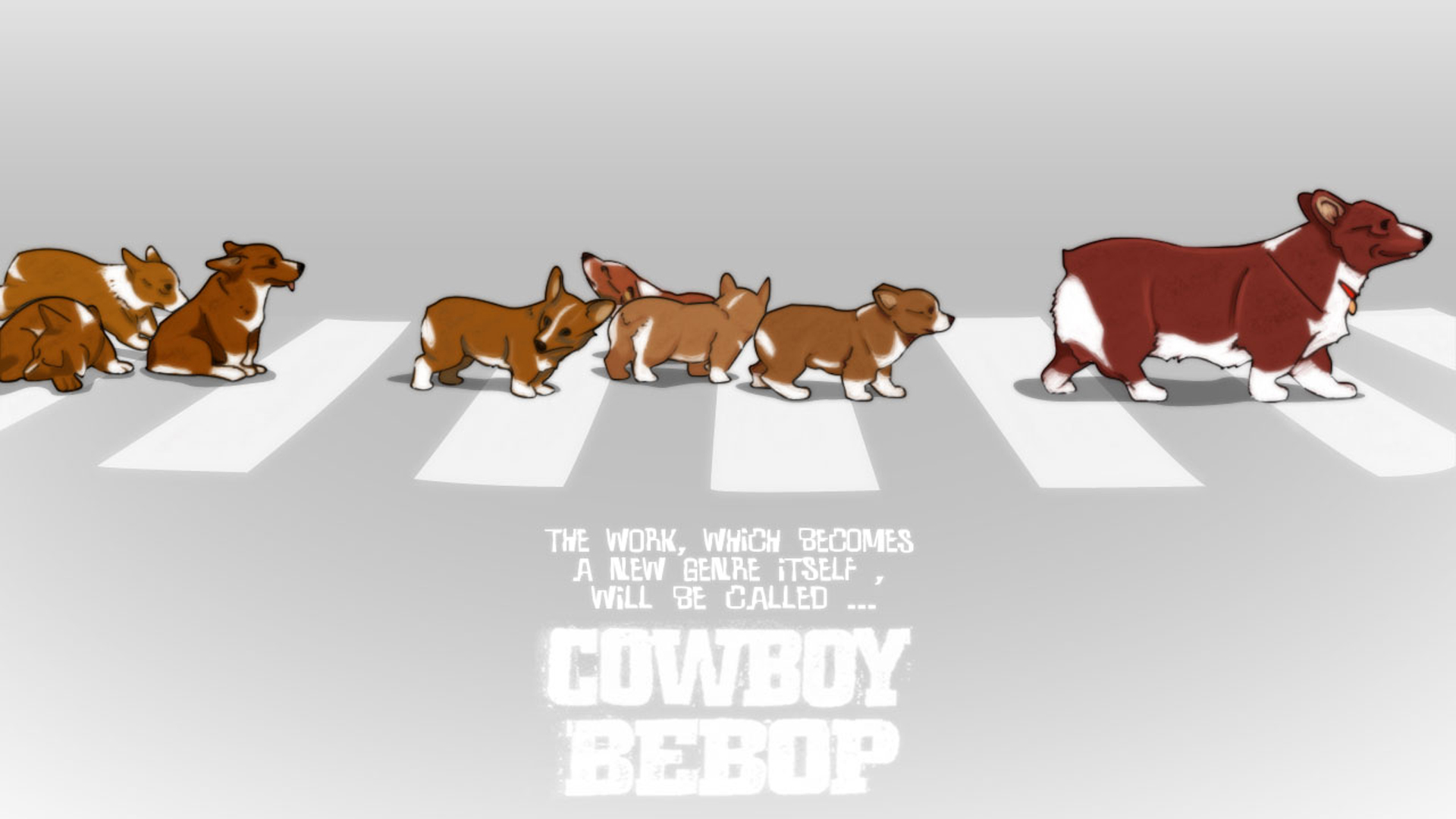 Download mobile wallpaper Anime, Cowboy Bebop, Ein (Cowboy Bebop) for free.
