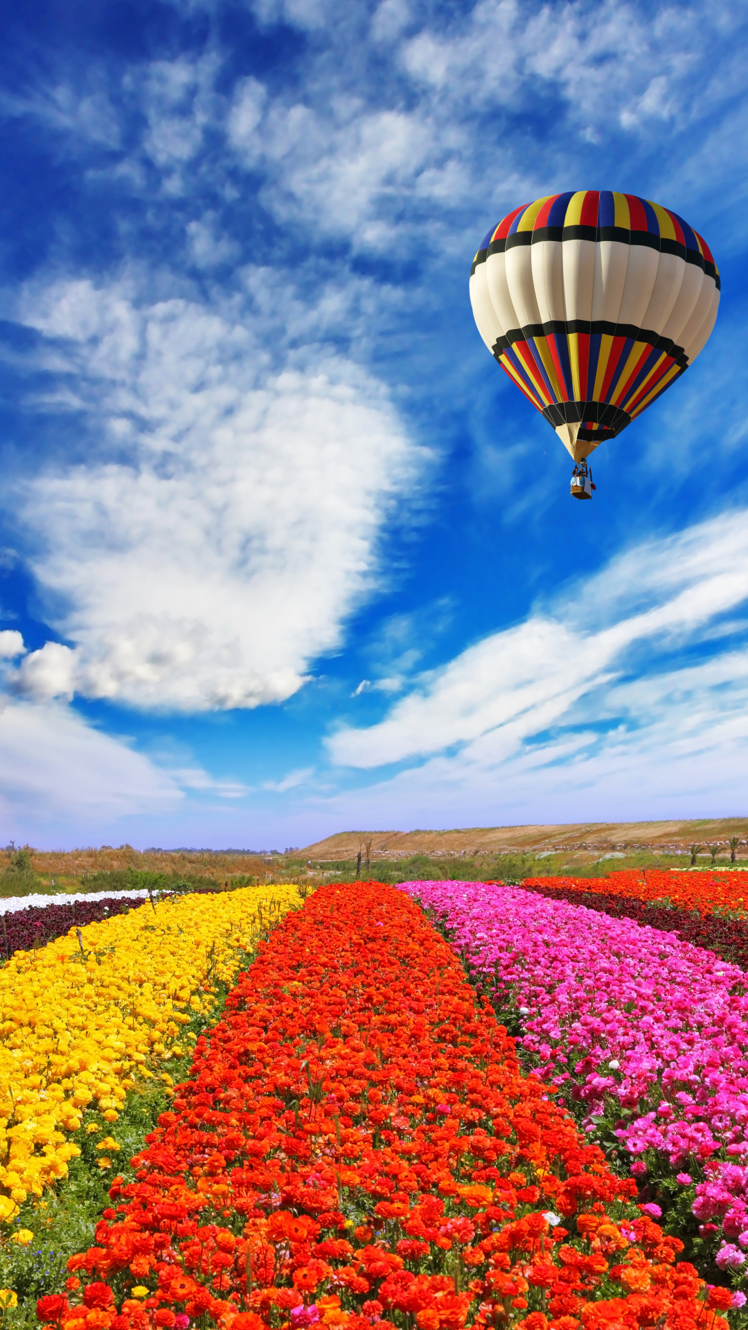 Download mobile wallpaper Sky, Flower, Field, Cloud, Yellow Flower, Red Flower, Vehicles, Pink Flower, Hot Air Balloon for free.