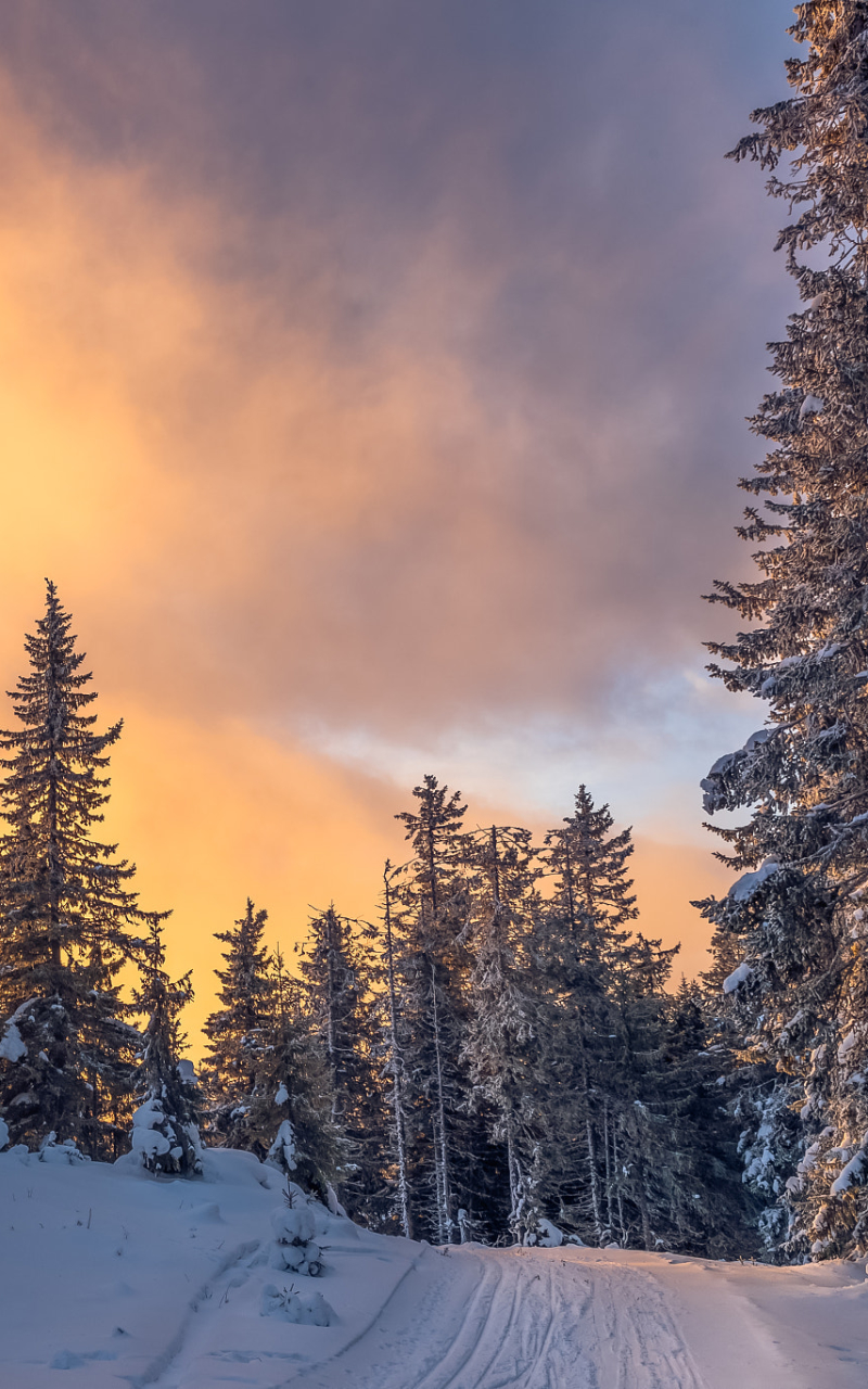 Download mobile wallpaper Winter, Sunset, Snow, Earth, Cloud for free.