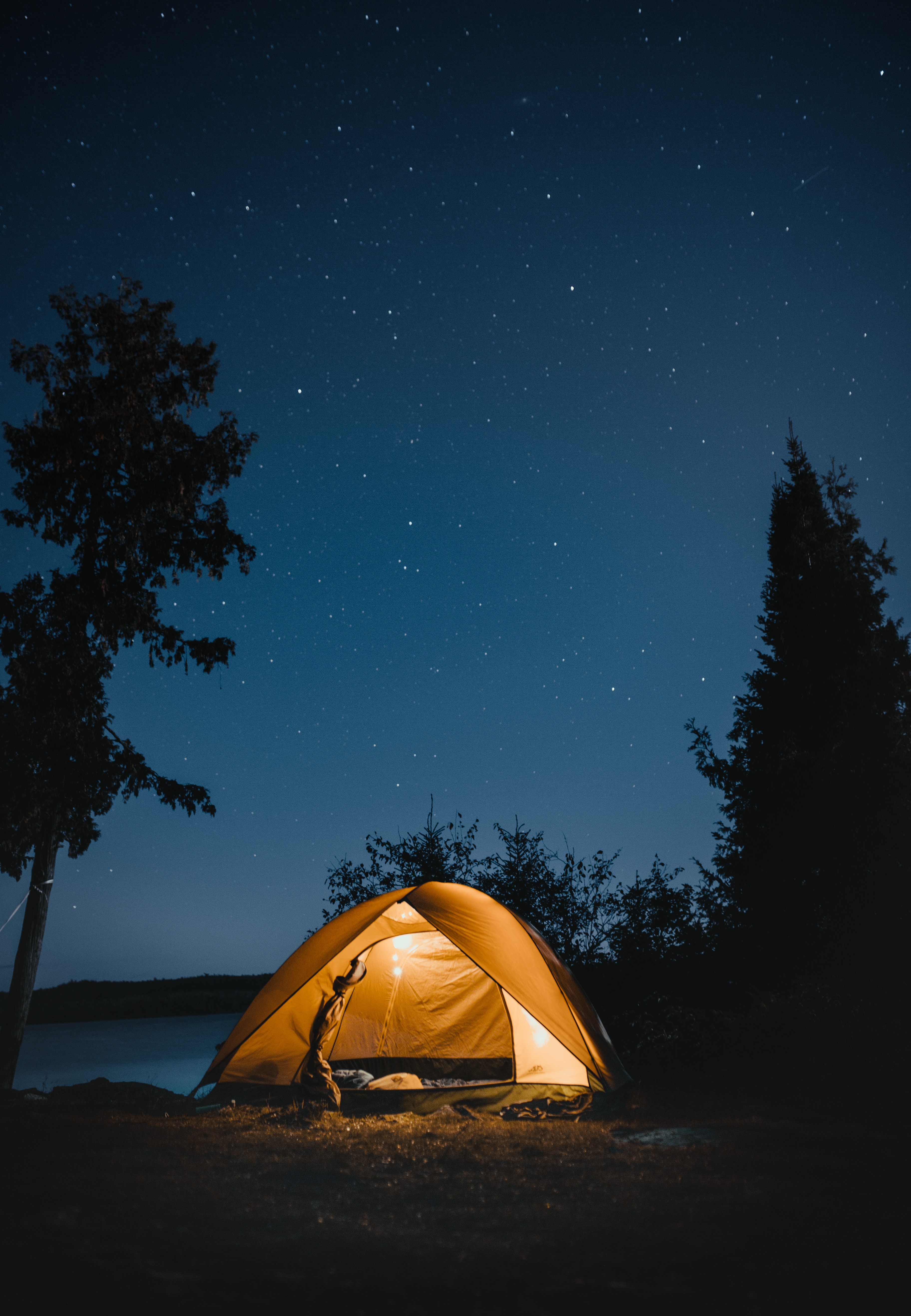 tent, nature, camping, campsite, starry sky, night, journey