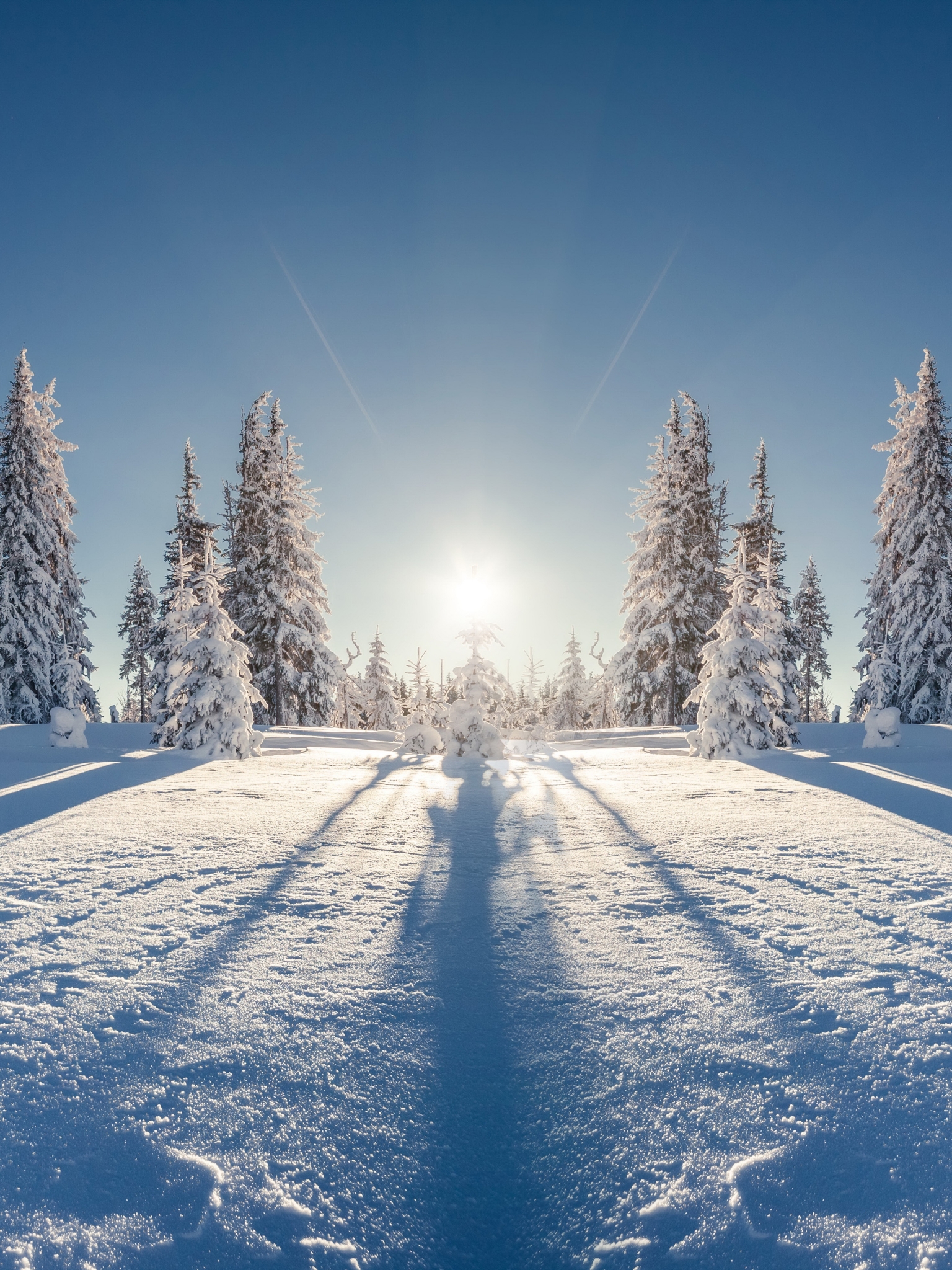 Download mobile wallpaper Winter, Nature, Sun, Snow, Tree, Earth for free.