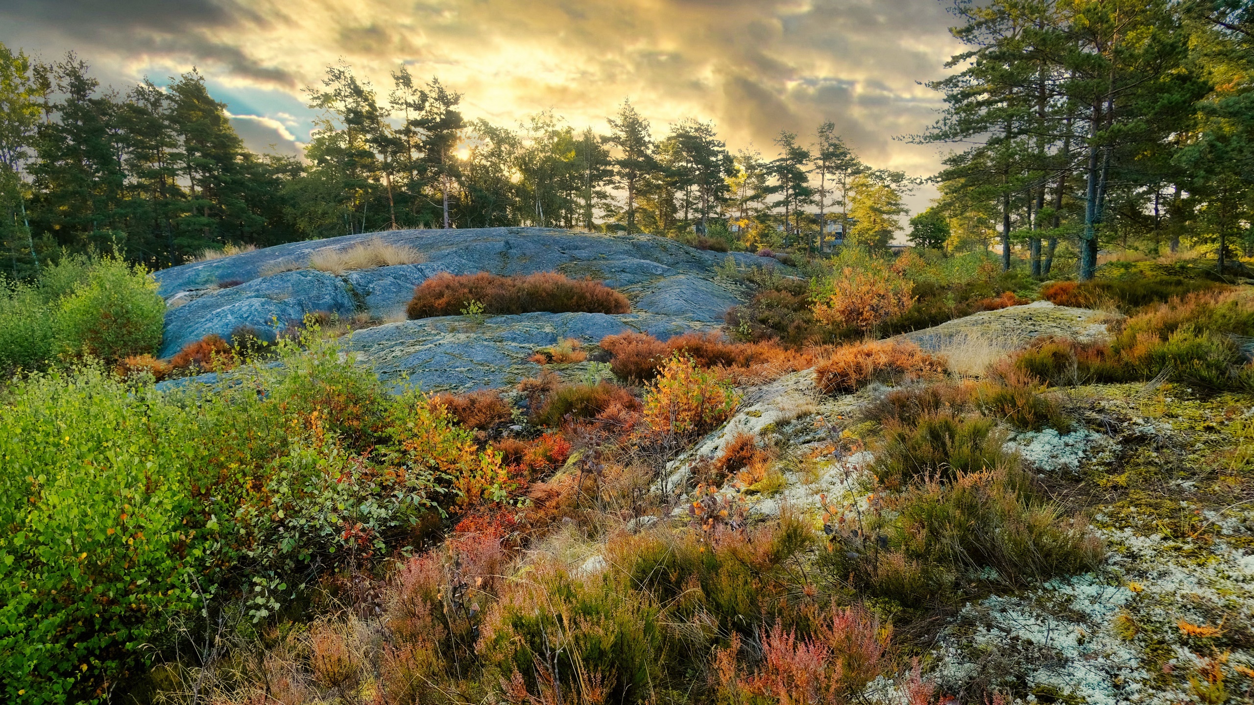 Téléchargez gratuitement l'image Paysage, Terre/nature sur le bureau de votre PC