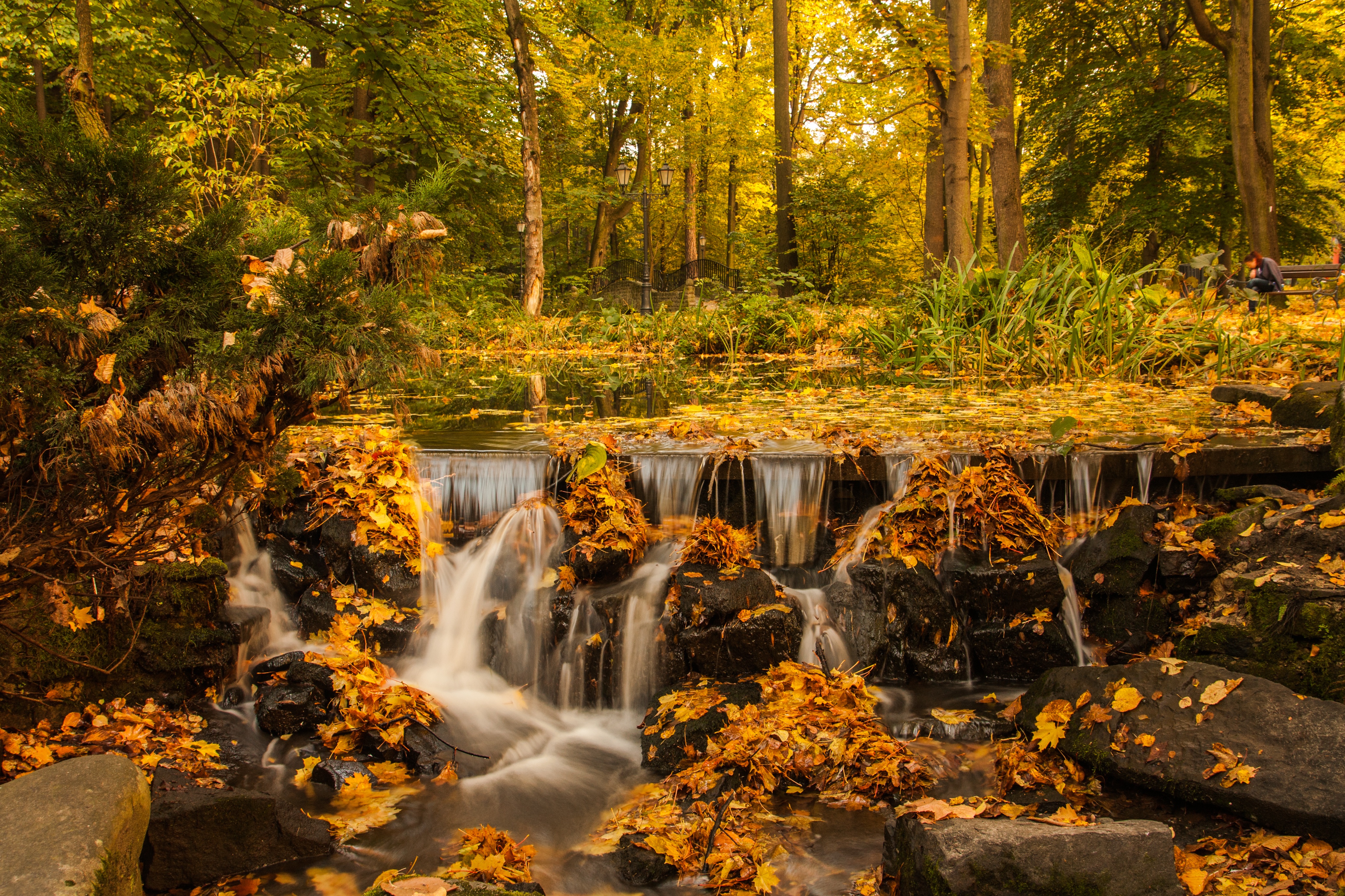 Handy-Wallpaper Herbst, Wasserfall, Wald, Park, Erde, Fotografie kostenlos herunterladen.