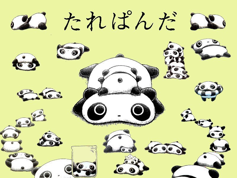 1515653画像をダウンロードたれパンダ（キャラクター）, パンダ, 動物-壁紙とスクリーンセーバーを無料で