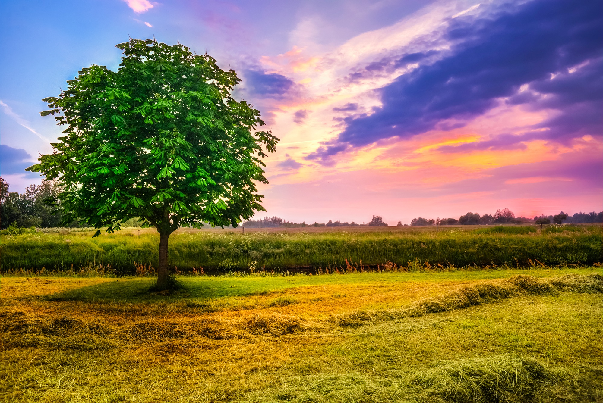 Free download wallpaper Landscape, Nature, Trees, Sunset, Sky, Tree, Sunrise, Earth, Field, Cloud, Countryside on your PC desktop