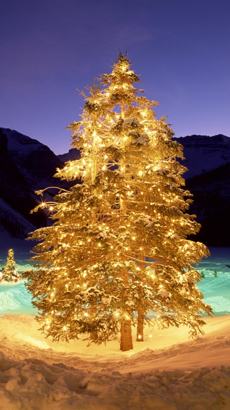 Download mobile wallpaper Christmas, Holiday, Christmas Tree, Christmas Lights for free.