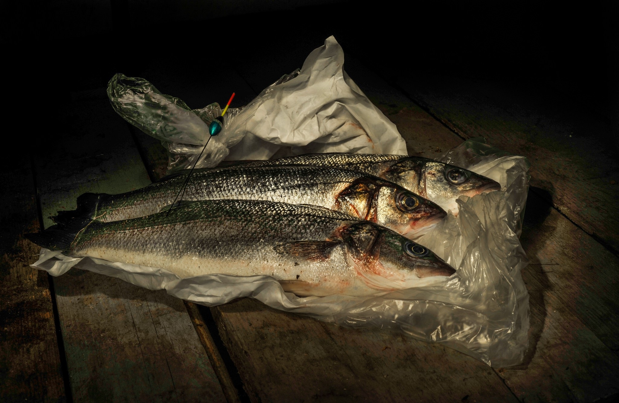 無料モバイル壁紙魚, 食べ物をダウンロードします。