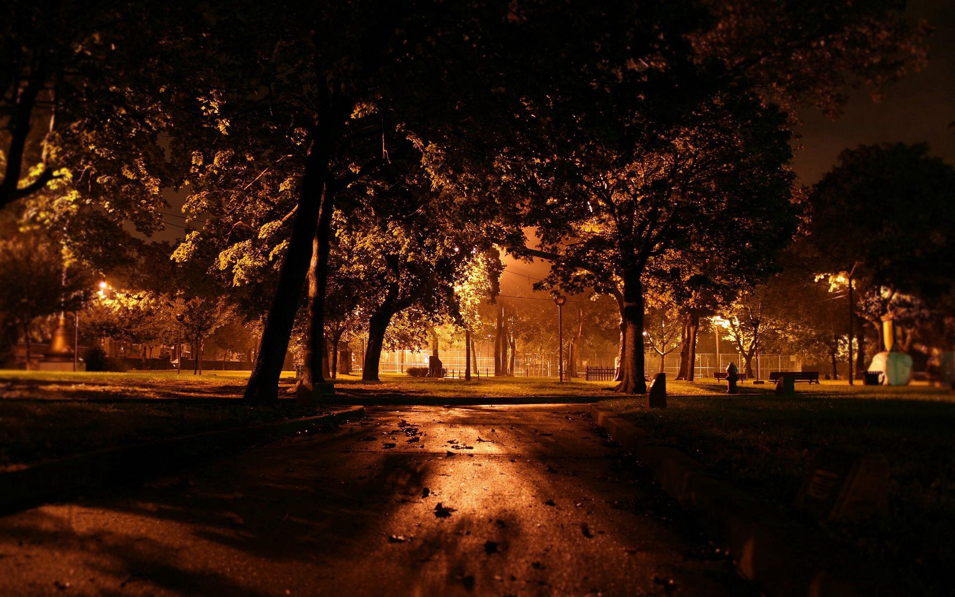 Download mobile wallpaper Trees, Track, Leaves, Illumination, Lighting, Park, Night, Nature for free.