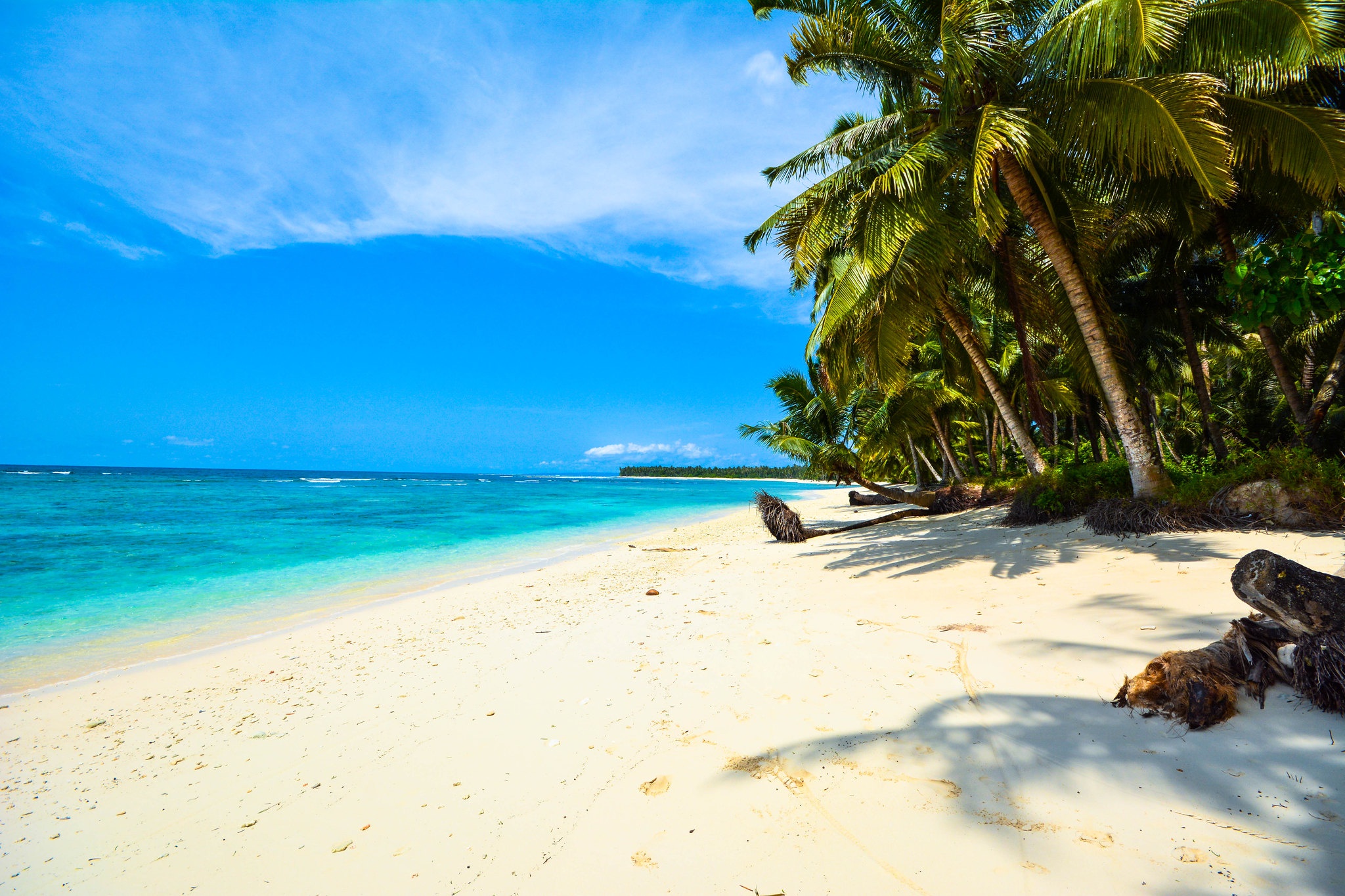 Free download wallpaper Nature, Beach, Sand, Horizon, Ocean, Earth, Palm Tree on your PC desktop