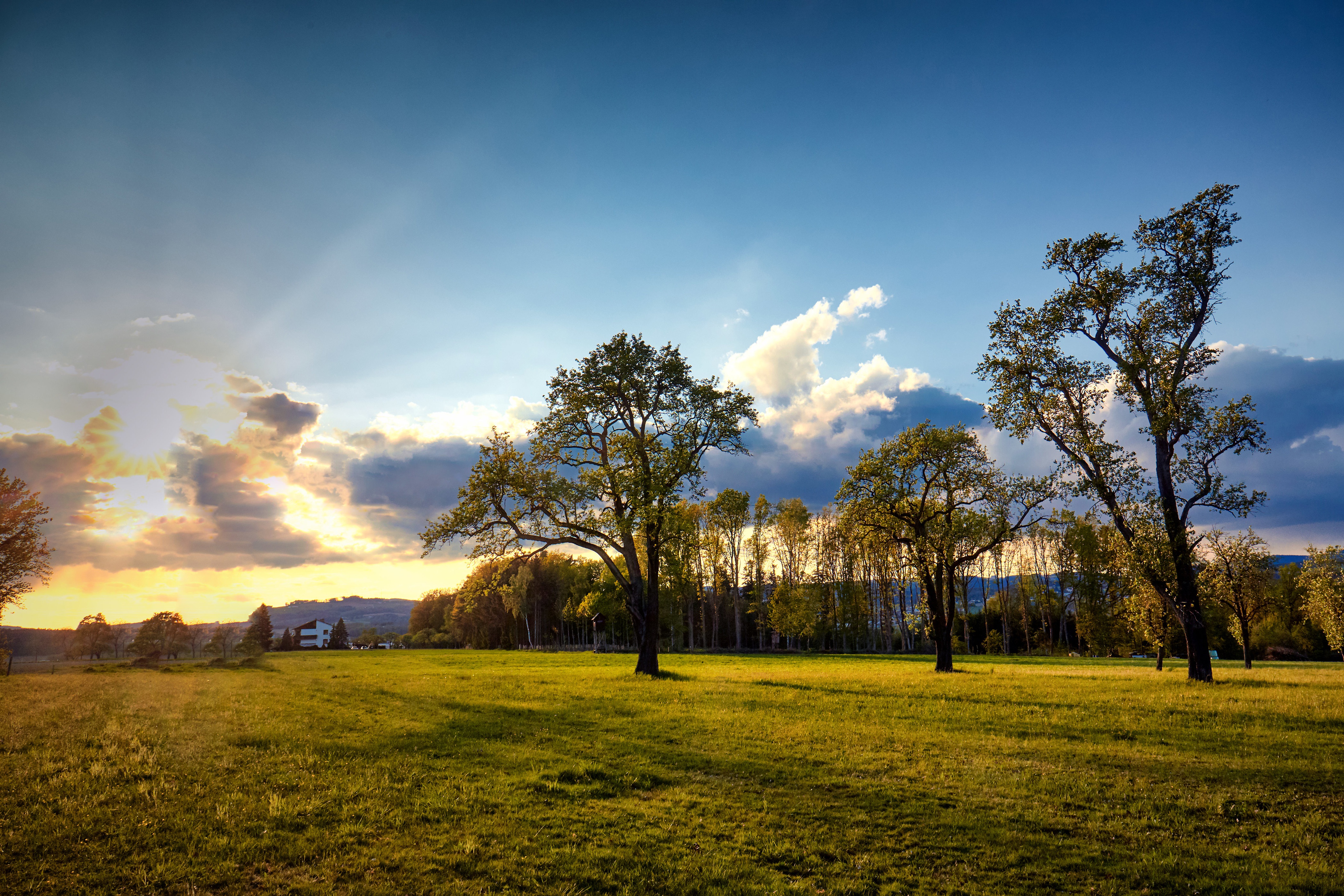 Laden Sie das Landschaft, Baum, Österreich, Wiese, Fotografie, Sonnenuntergang-Bild kostenlos auf Ihren PC-Desktop herunter