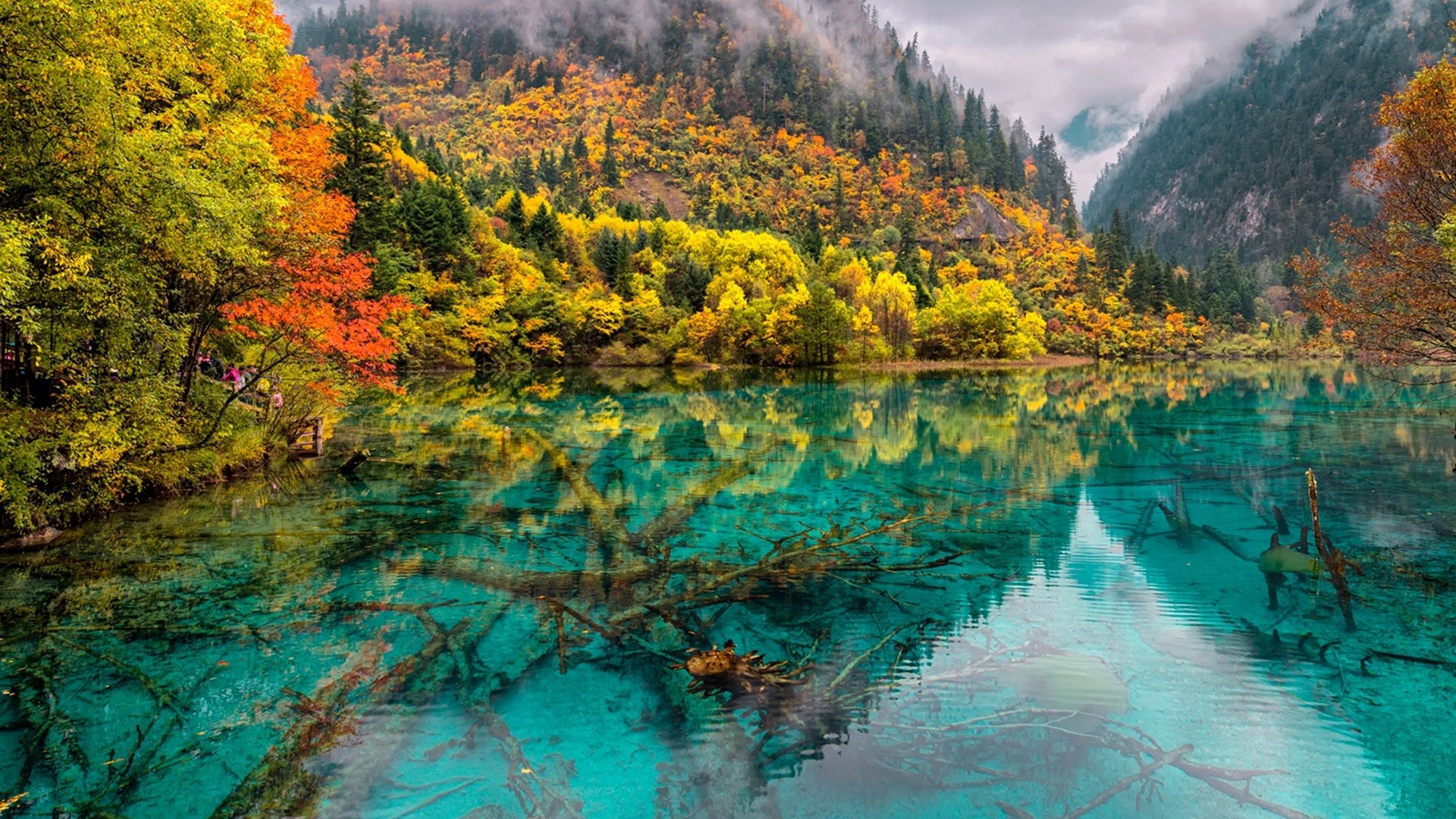 Laden Sie das Herbst, See, Baum, Erde/natur, Spiegelung-Bild kostenlos auf Ihren PC-Desktop herunter