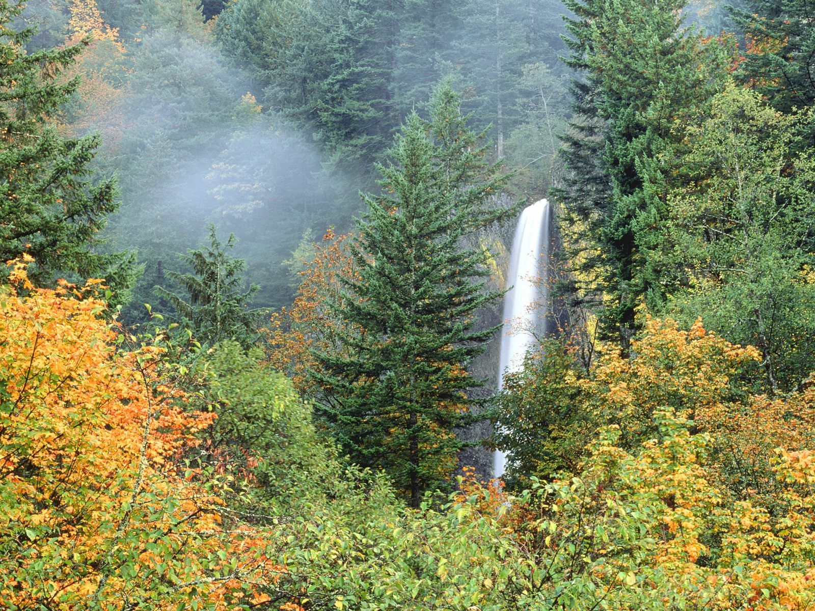 Скачать картинку Природа, Водопад, Зелень, Деревья, Осень в телефон бесплатно.
