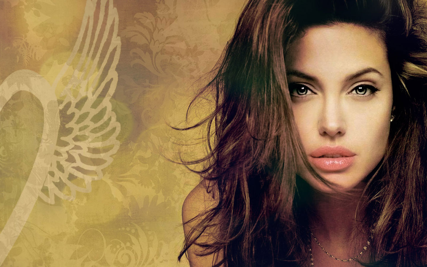 Free download wallpaper Angelina Jolie, Celebrity on your PC desktop