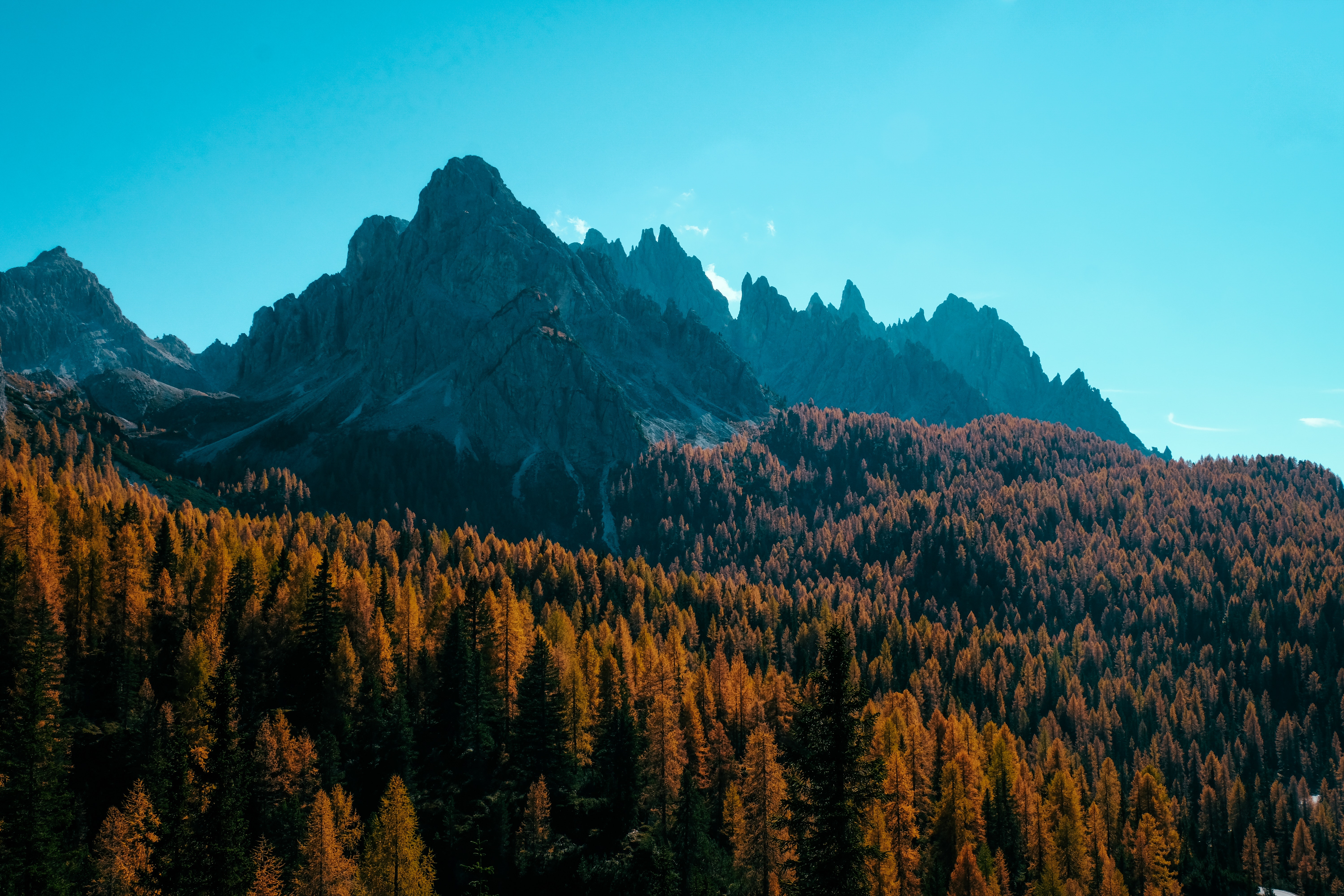 無料モバイル壁紙自然, 木, 山, 上から見る, 影, 秋をダウンロードします。