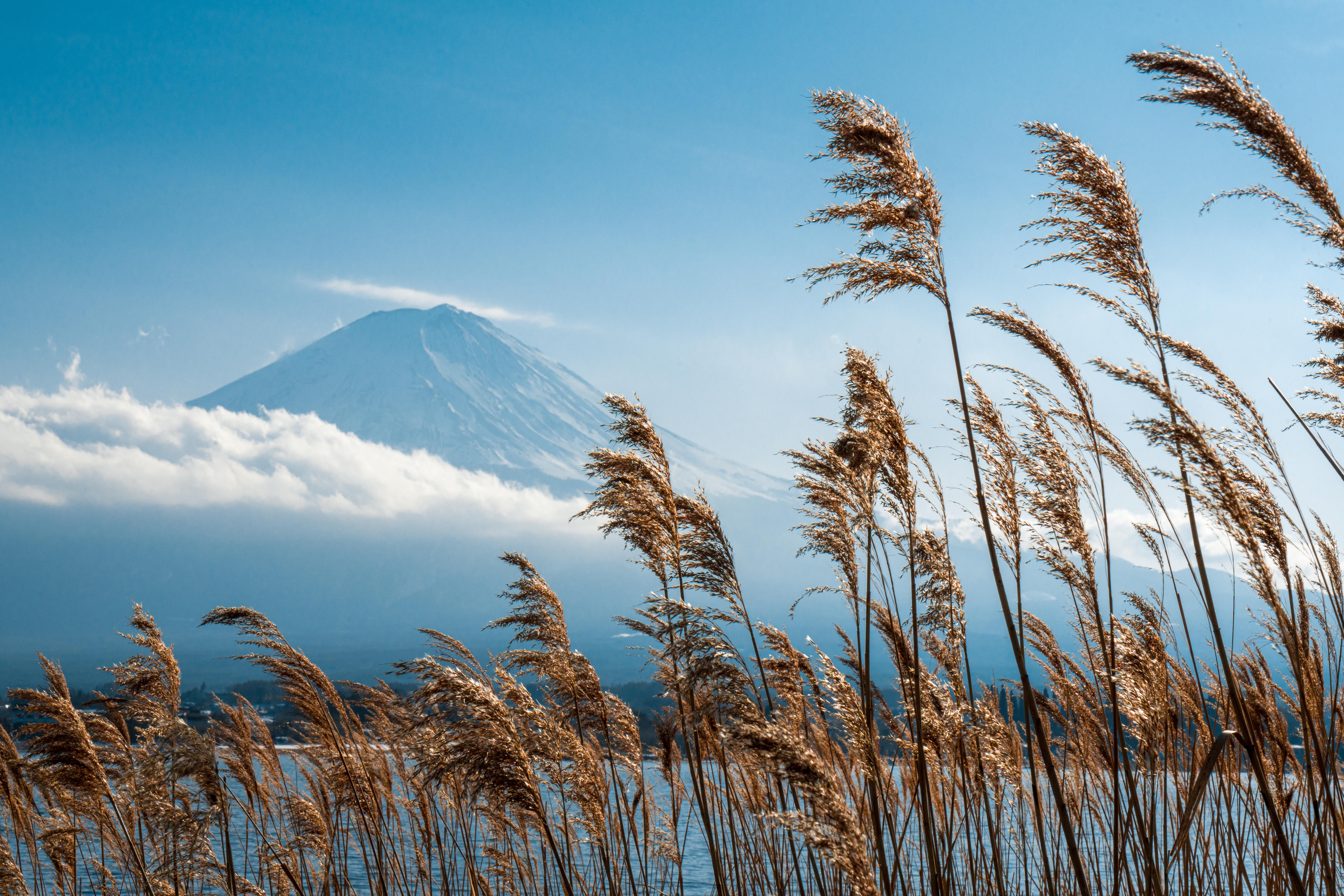 Скачать обои бесплатно Гора Фудзи, Вулканы, Земля/природа картинка на рабочий стол ПК