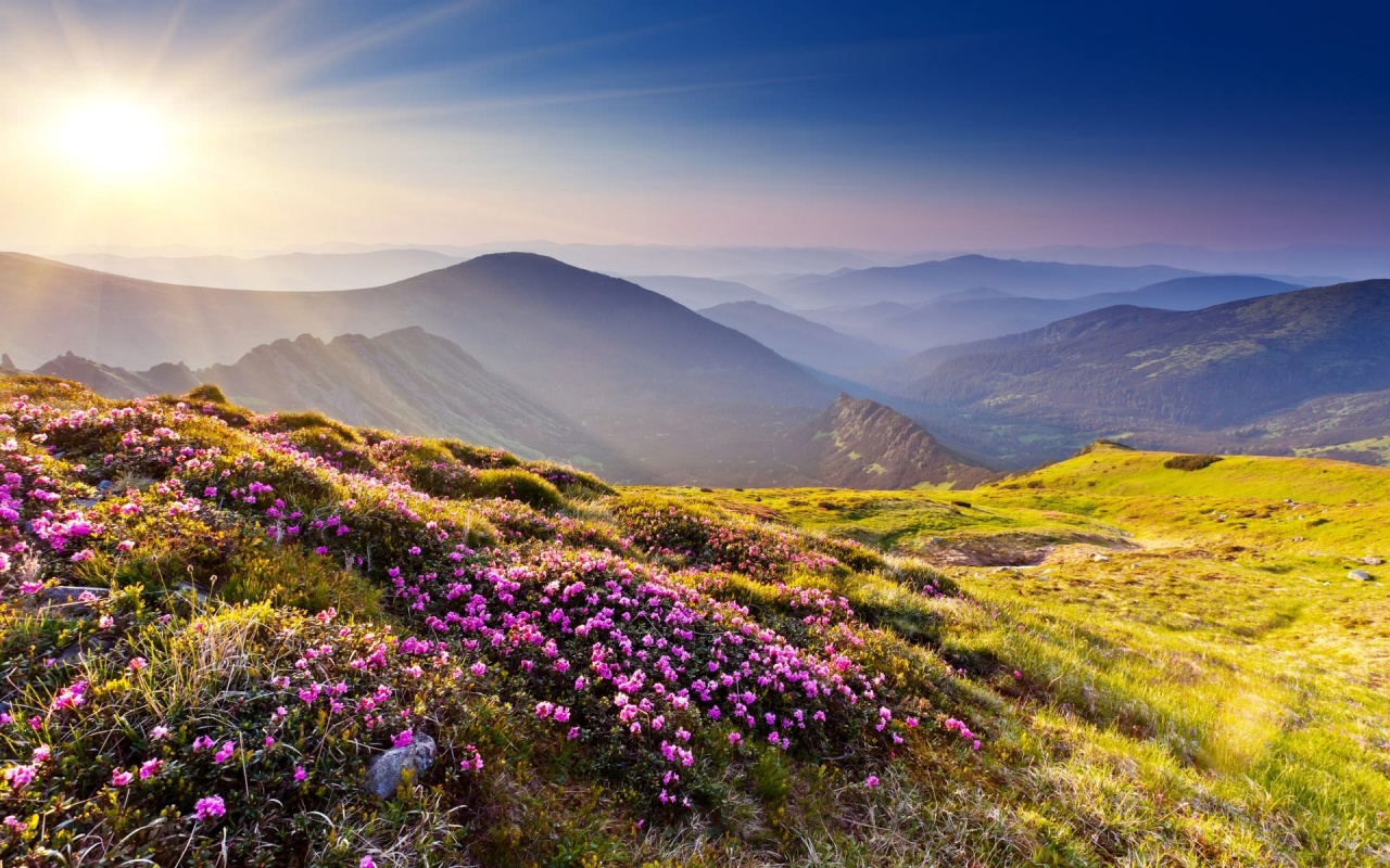 Téléchargez gratuitement l'image Paysage, Terre/nature sur le bureau de votre PC