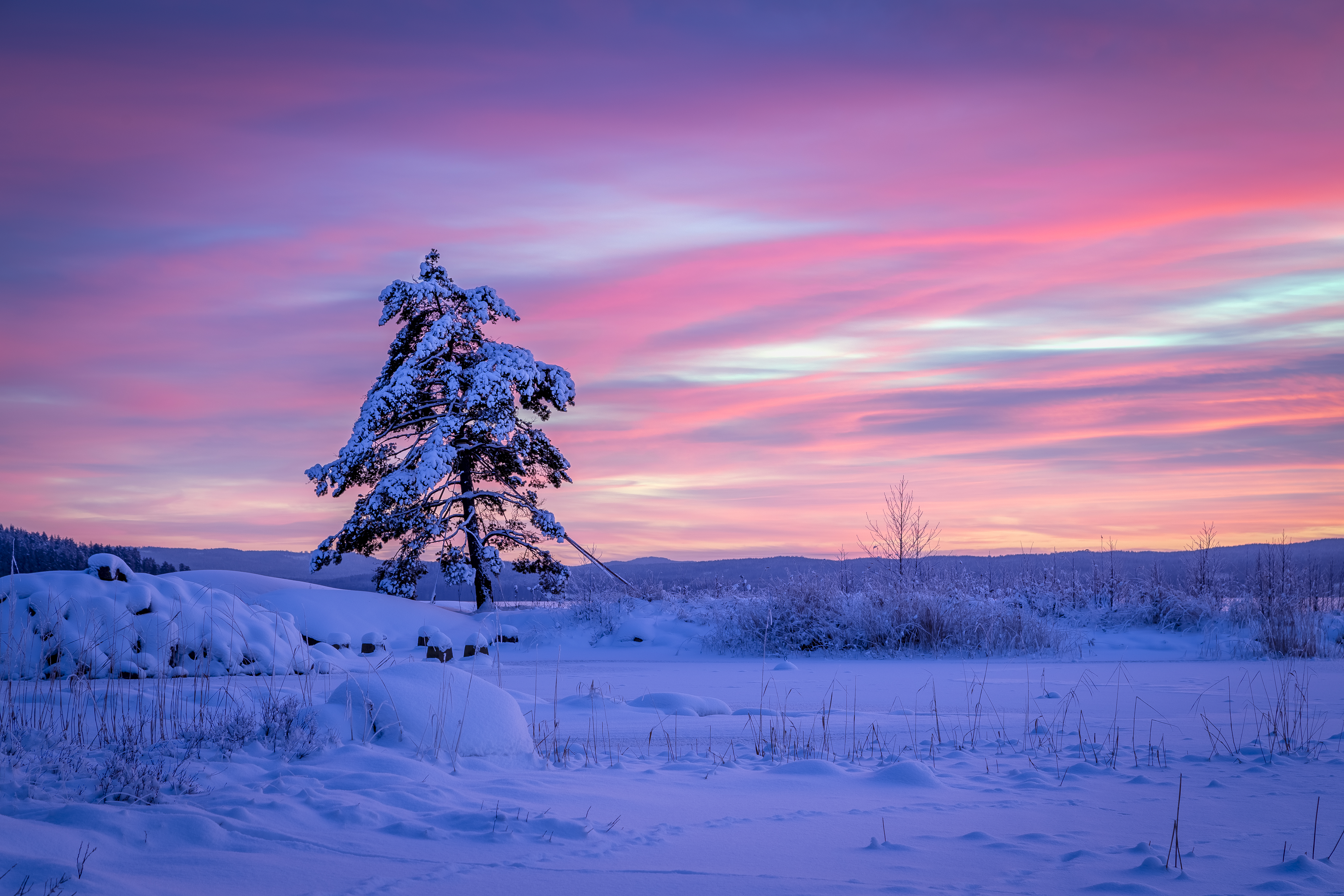Download mobile wallpaper Winter, Sunset, Sky, Snow, Tree, Earth, Field for free.