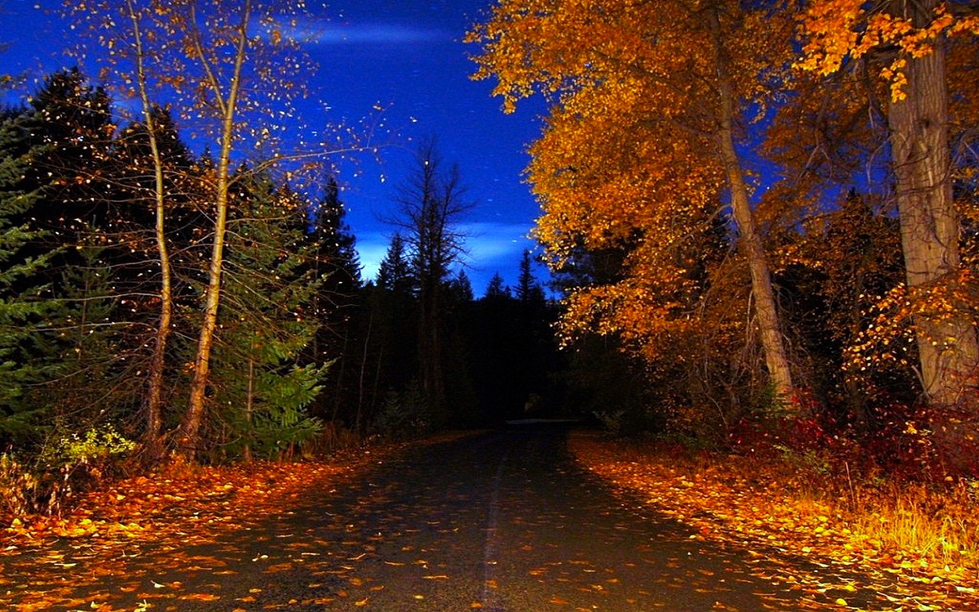Free download wallpaper Night, Road, Tree, Fall, Man Made on your PC desktop