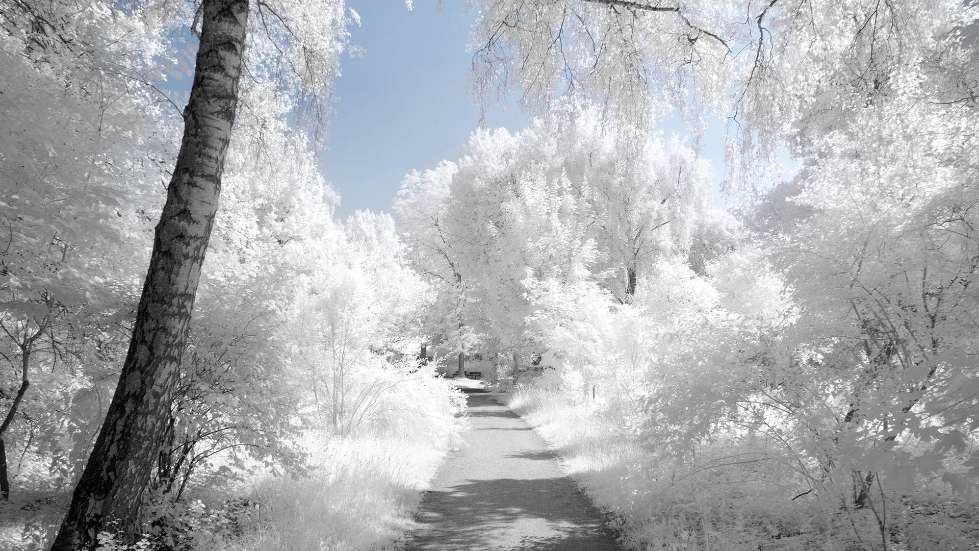 Free download wallpaper Landscape, Winter, Roads on your PC desktop