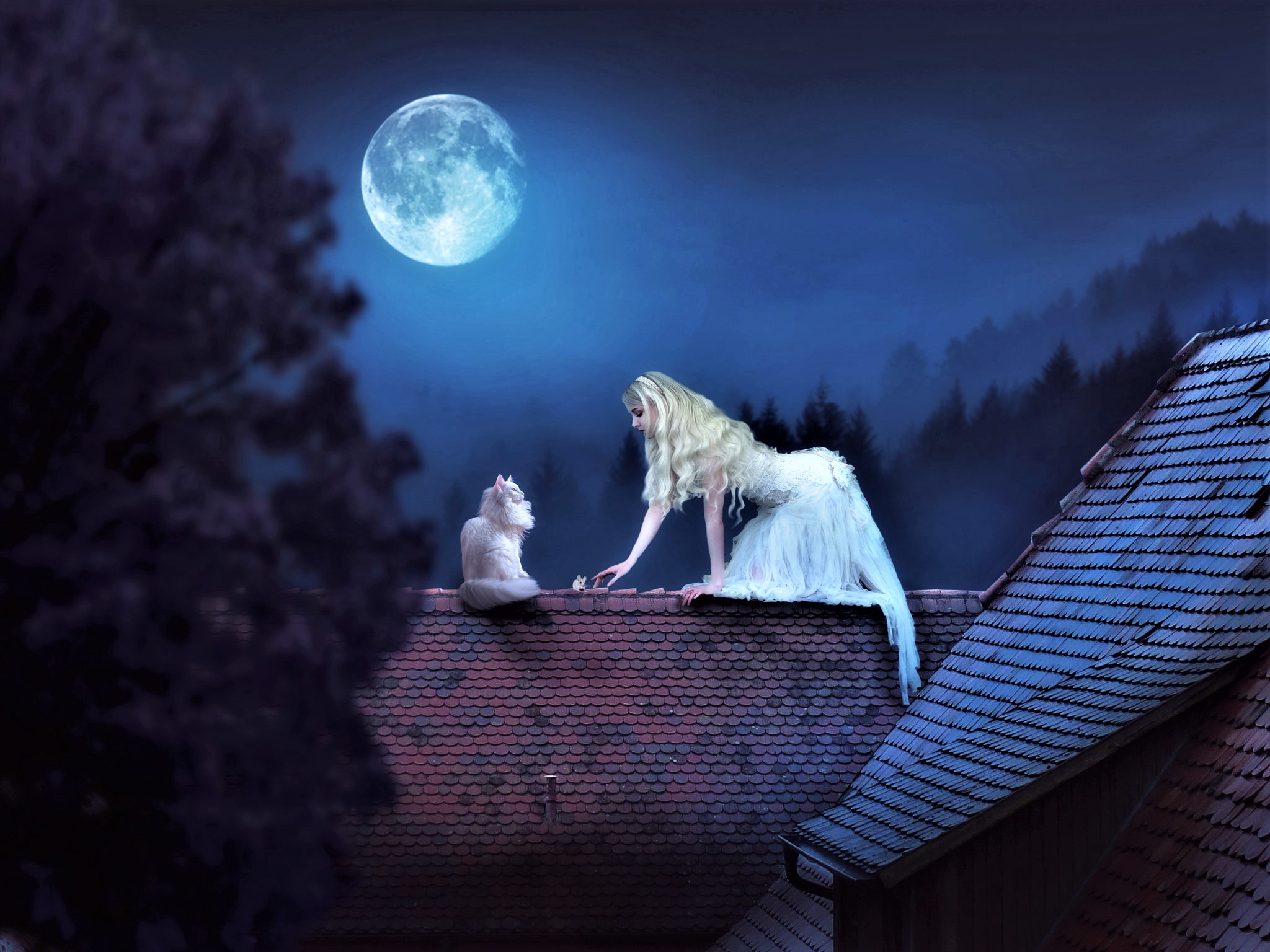 fantasy, women, blonde, cat, moon, night, roof