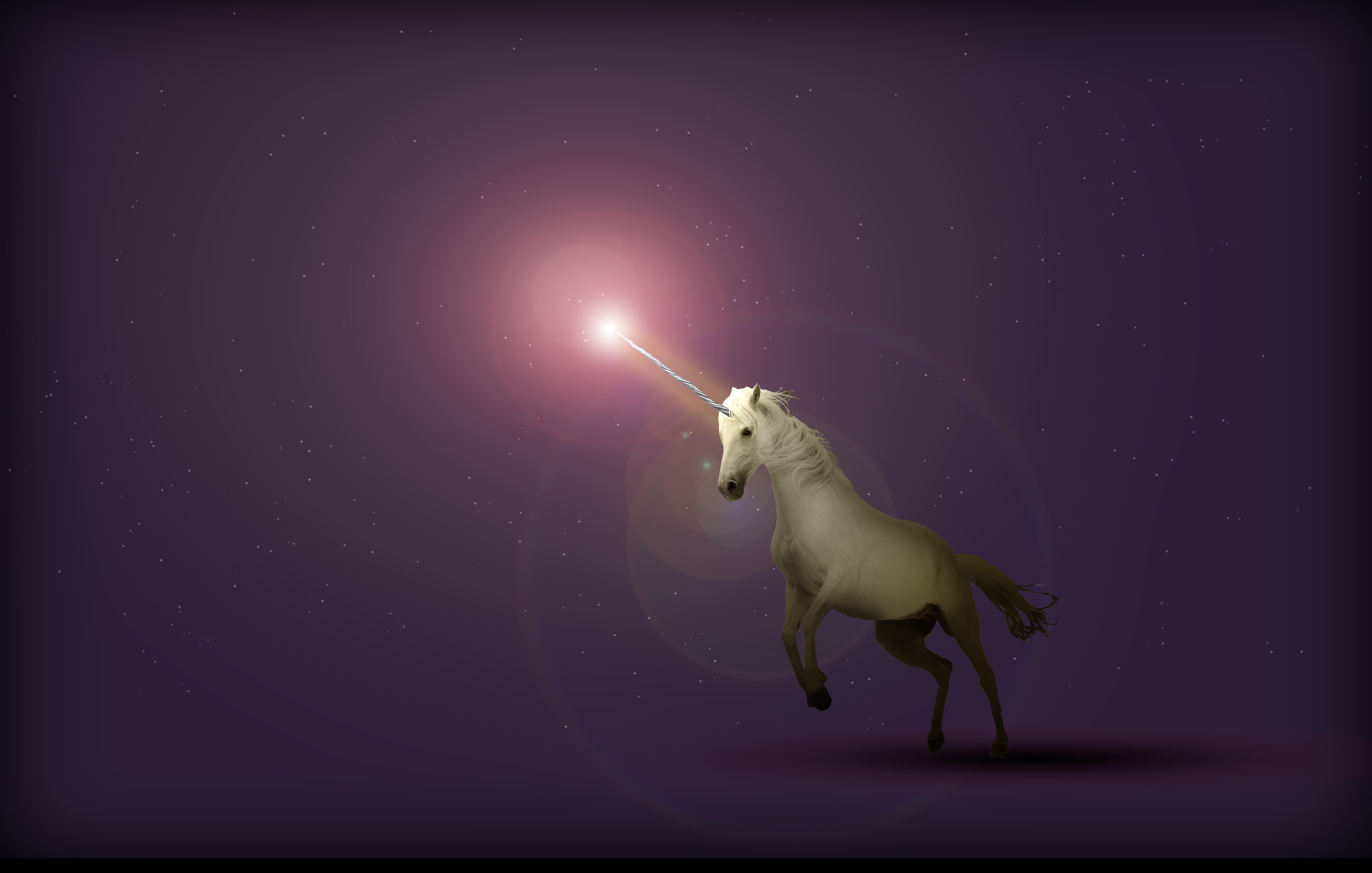 unicorn, art, fantasy, starry sky HD wallpaper