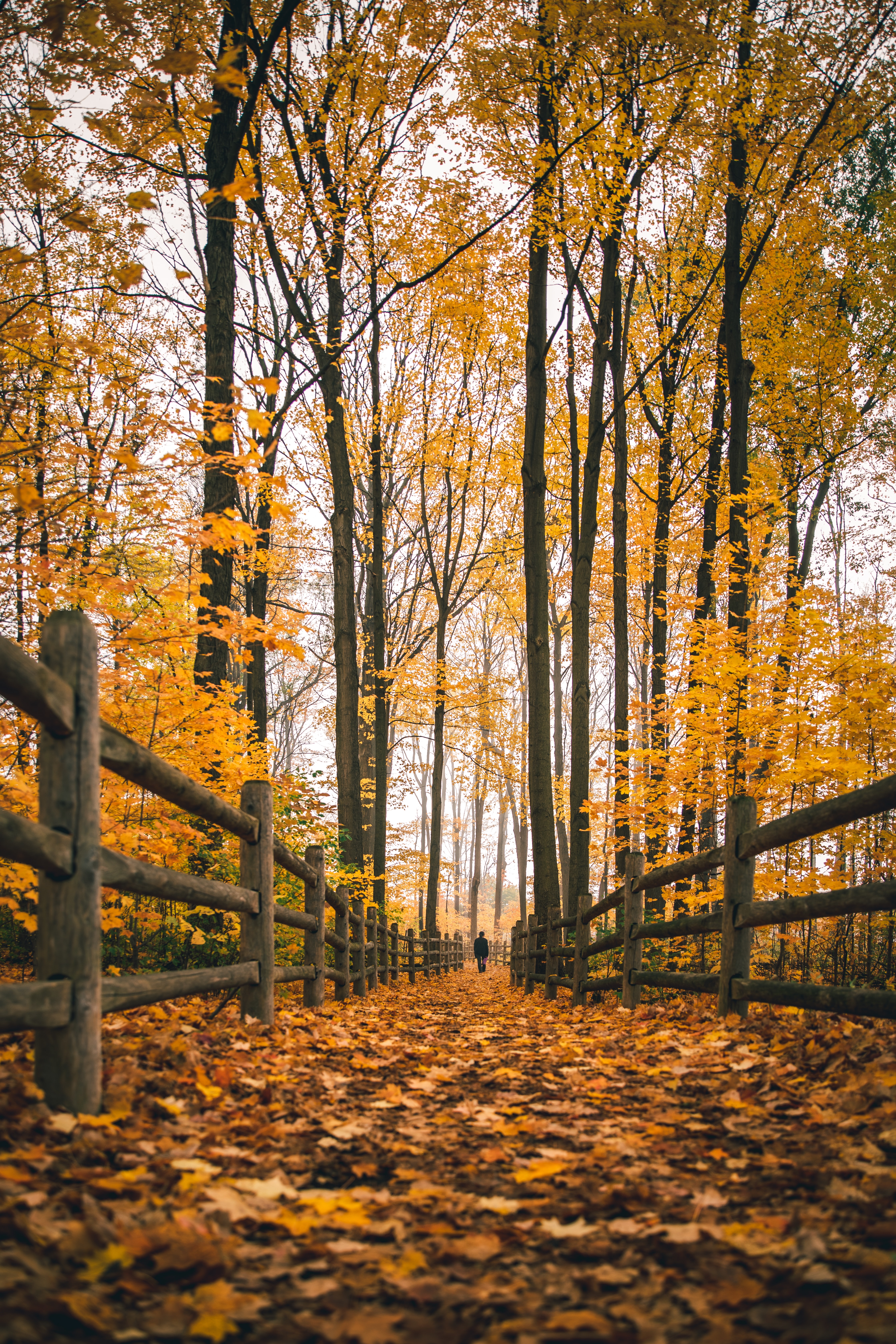 Download mobile wallpaper Autumn, Fence, Miscellaneous, Nature, Person, Miscellanea, Human, Loneliness for free.