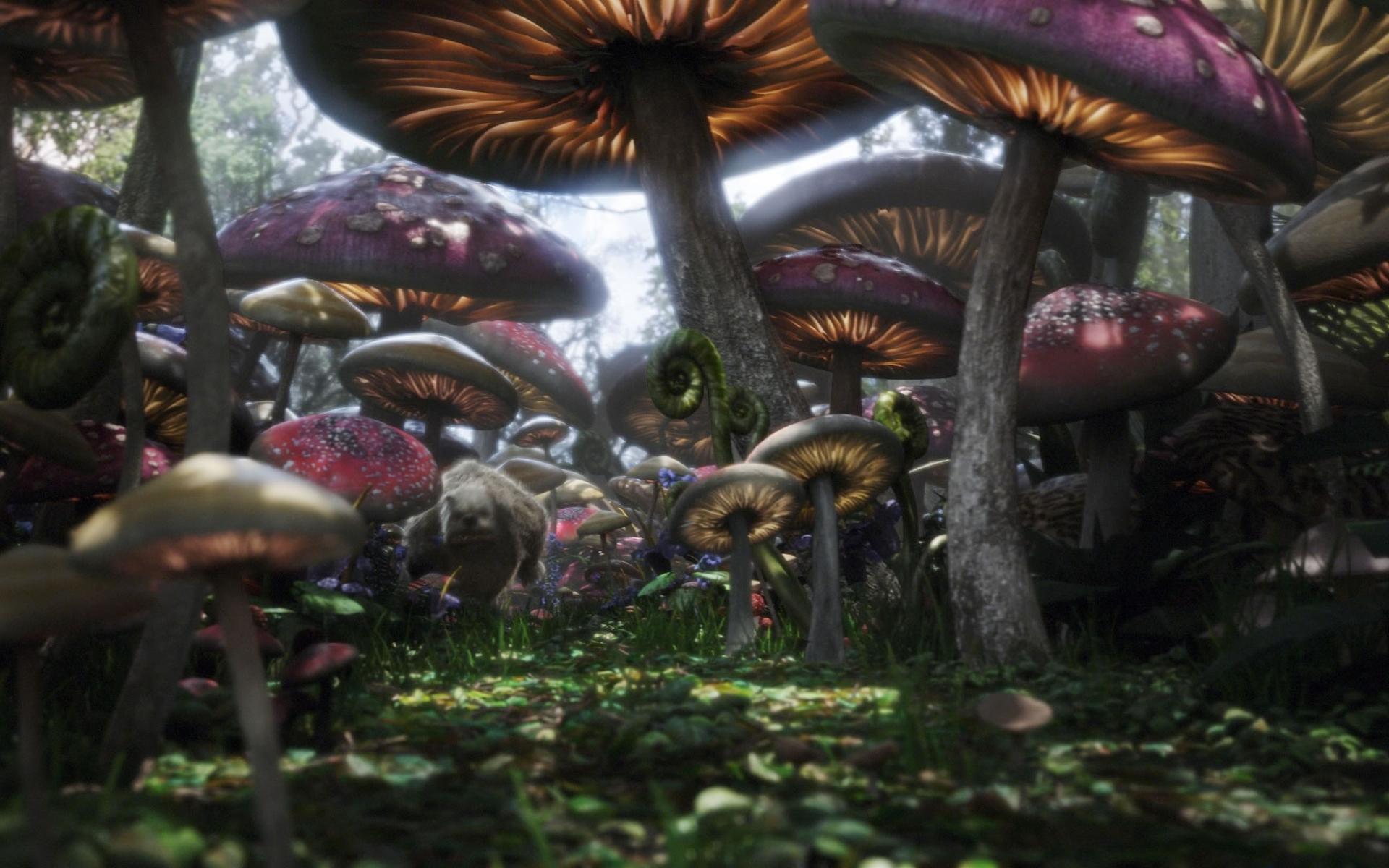 878531 télécharger l'image champignon, film, alice au pays des merveilles (2010), coloré, fantaisie, forêt, magique - fonds d'écran et économiseurs d'écran gratuits