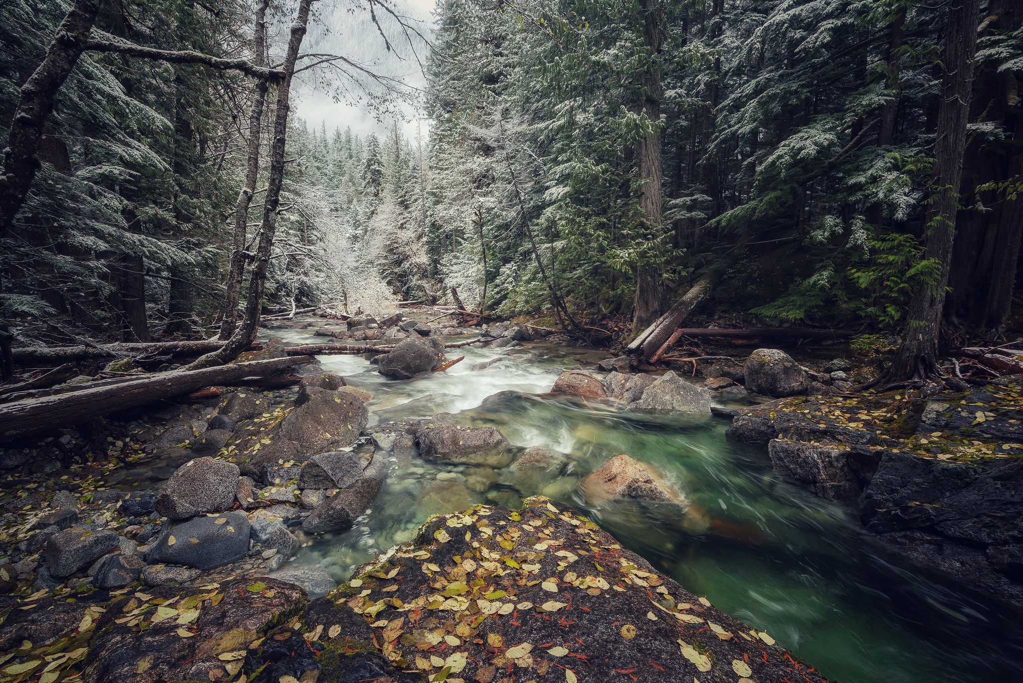 Laden Sie das Winter, Natur, Wald, Strom, Erde/natur-Bild kostenlos auf Ihren PC-Desktop herunter