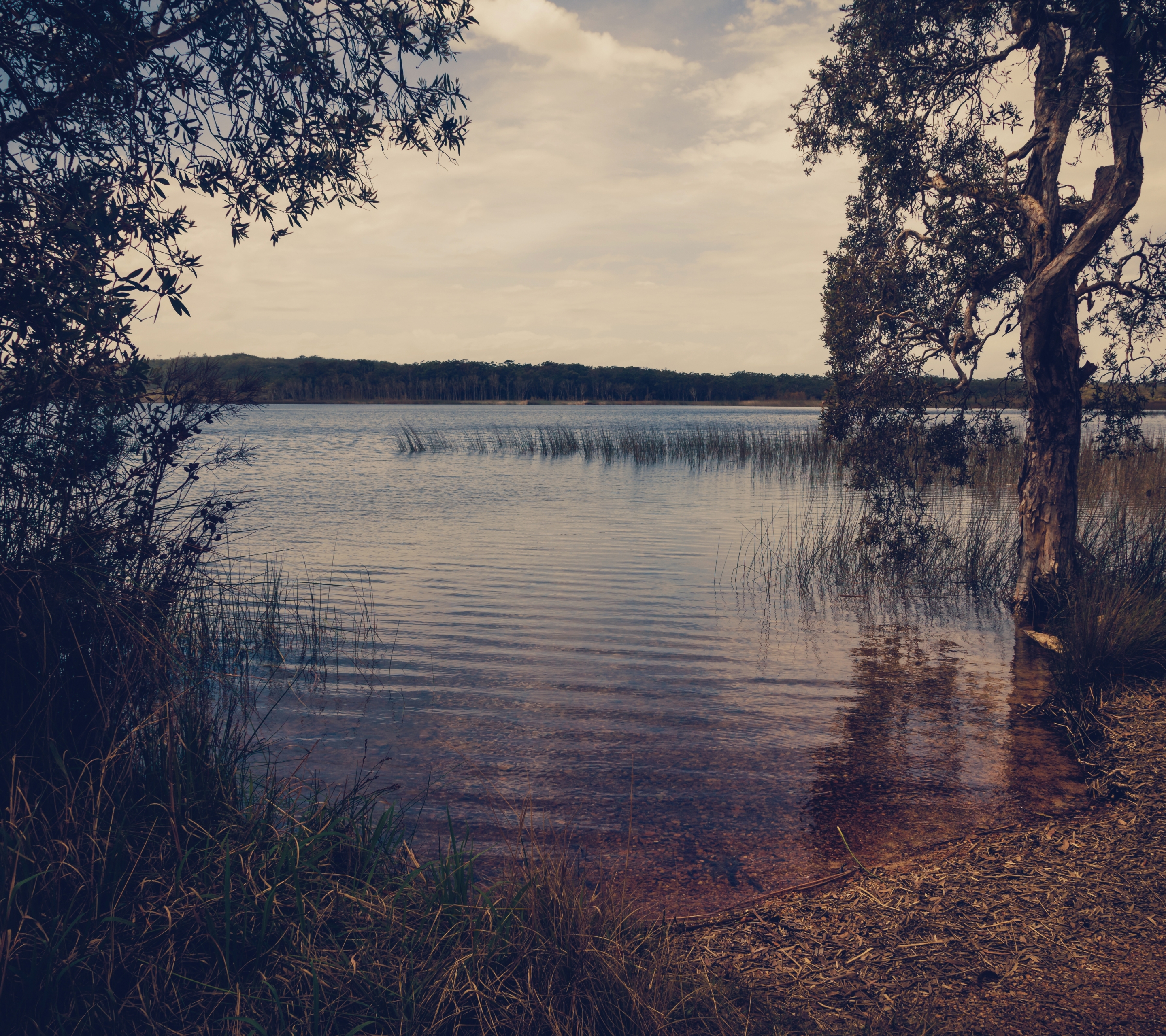 Handy-Wallpaper Fluss, Erde/natur kostenlos herunterladen.