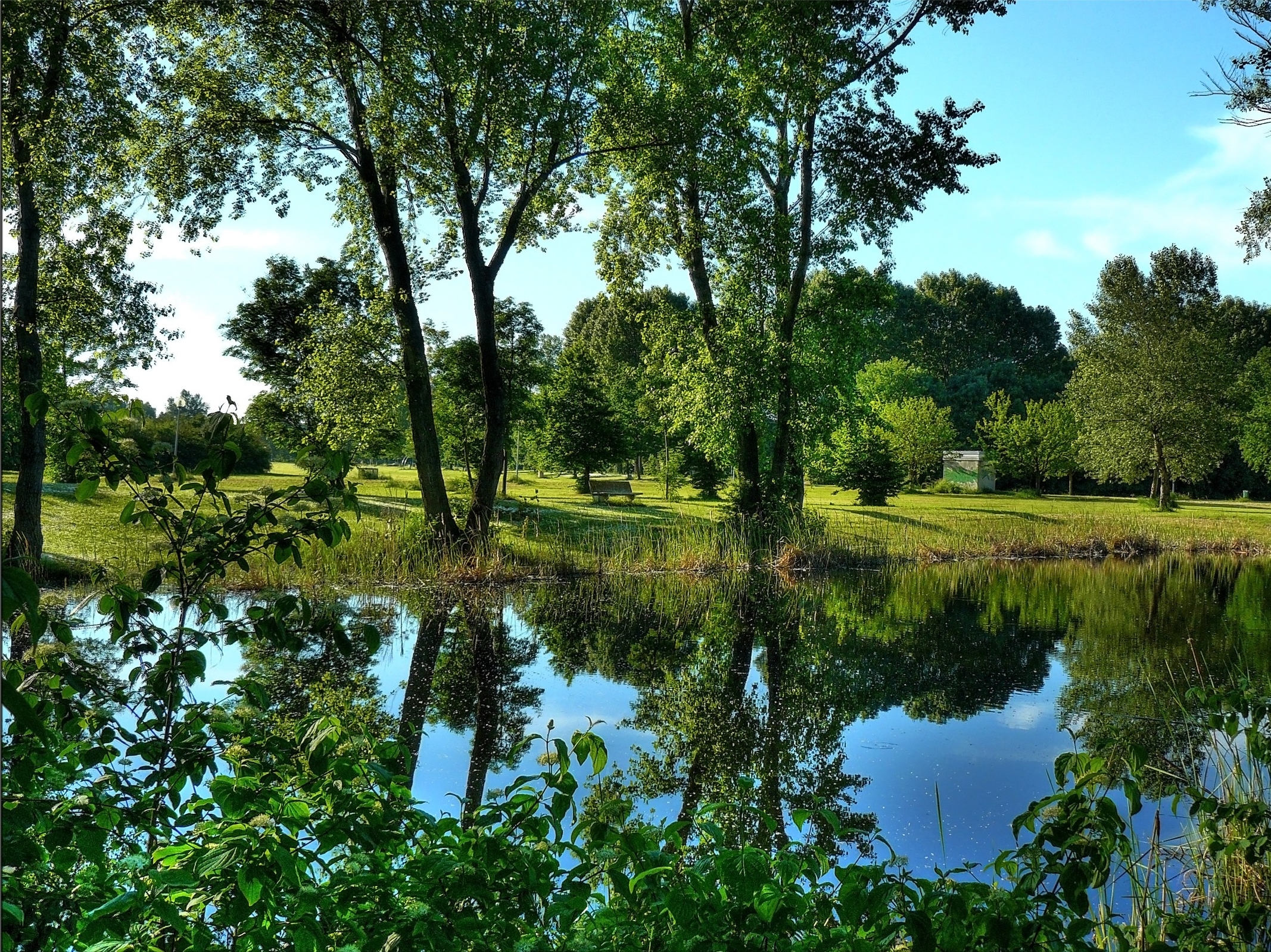 Descarga gratuita de fondo de pantalla para móvil de Tierra/naturaleza, Reflejo.