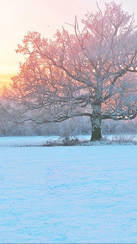 Handy-Wallpaper Winter, Erde/natur kostenlos herunterladen.