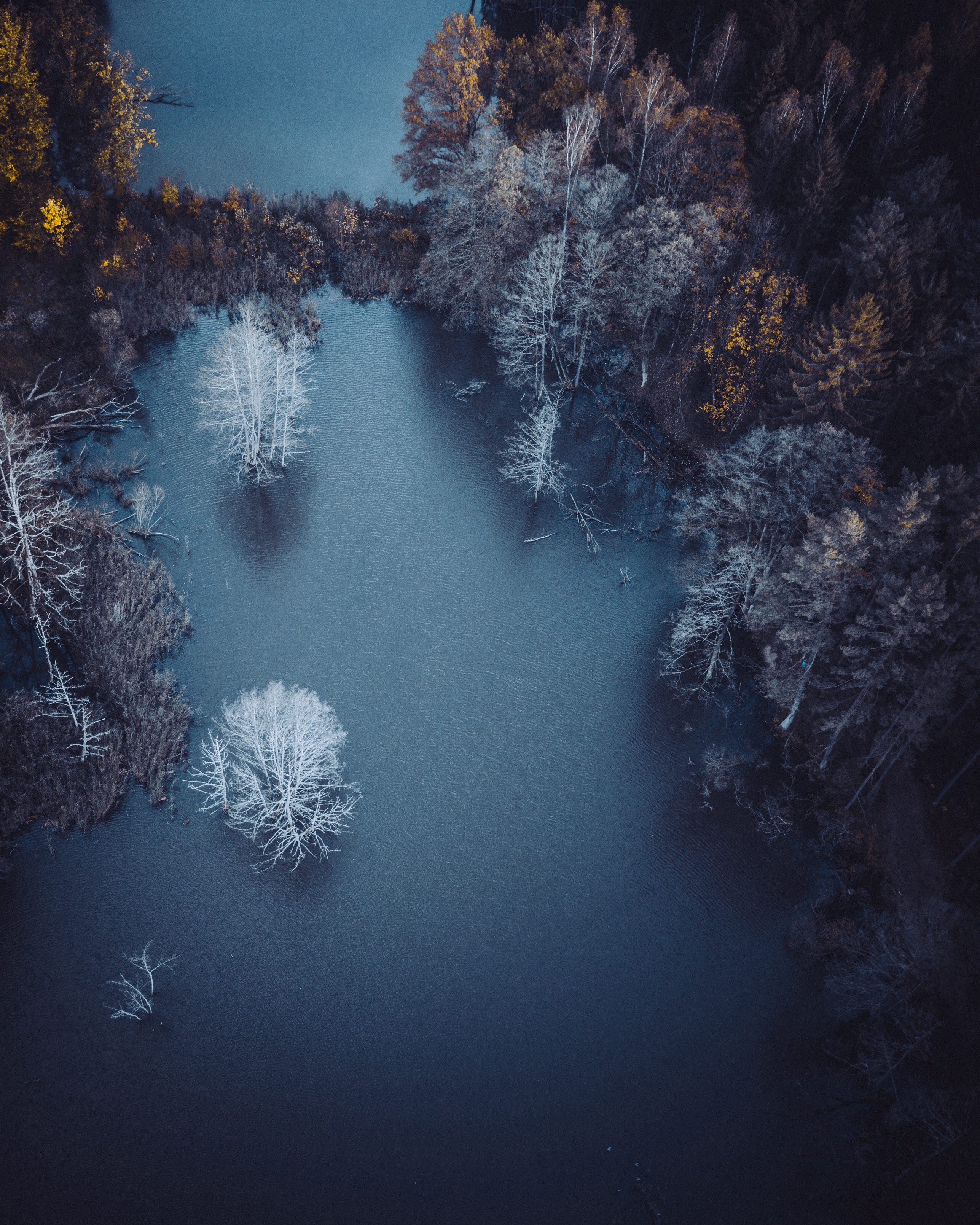 frost, nature, trees, autumn, view from above, lake, hoarfrost Full HD