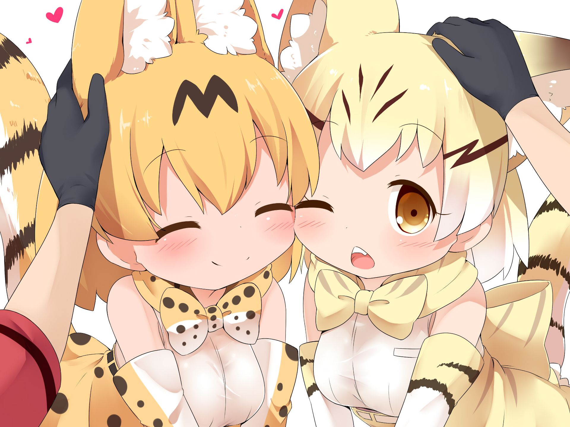 882155 descargar imagen animado, kemono friends, gato de arena (amigos de kemono), serval (amigos kemono): fondos de pantalla y protectores de pantalla gratis