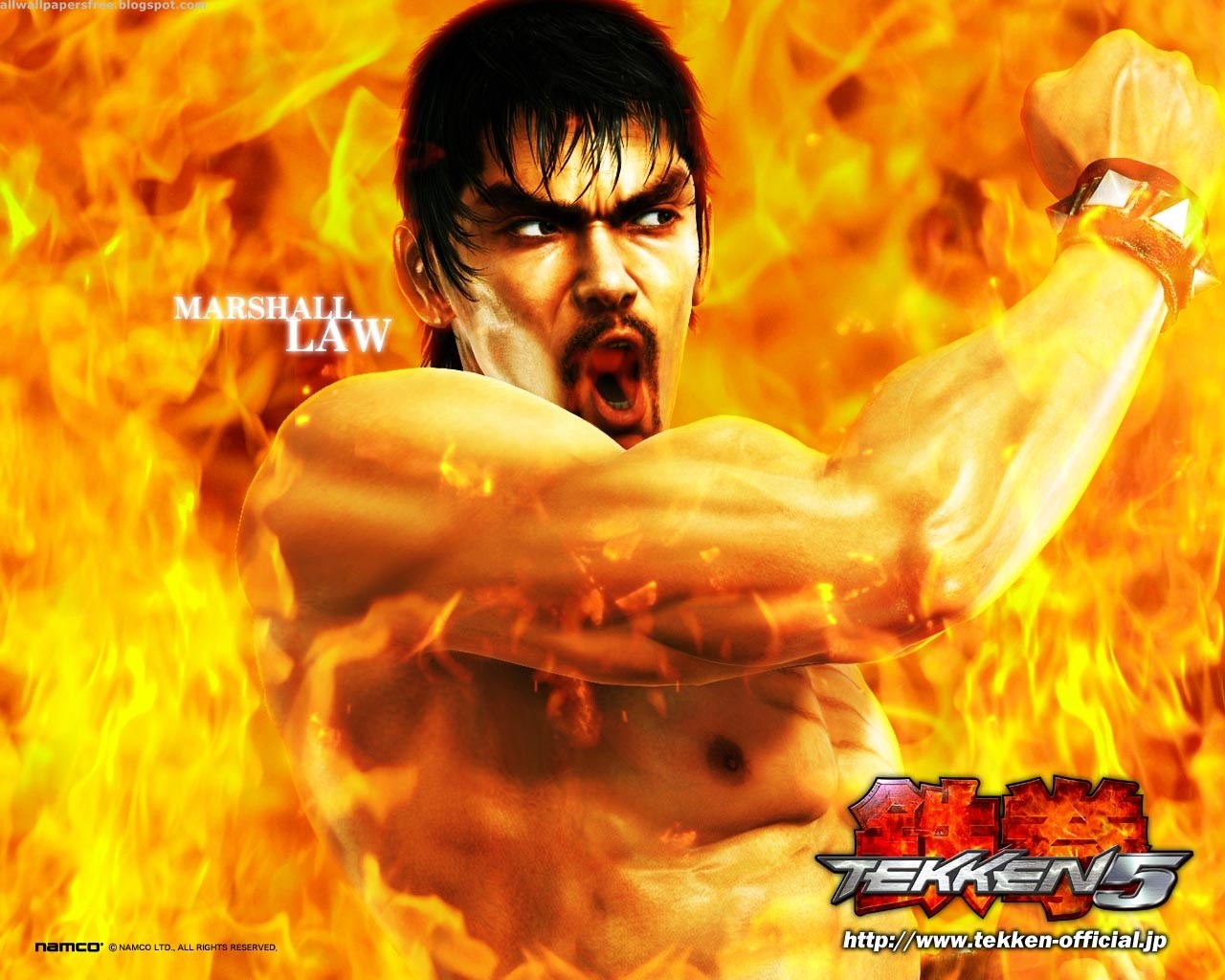 Baixe gratuitamente a imagem Videogame, Tekken 5 na área de trabalho do seu PC