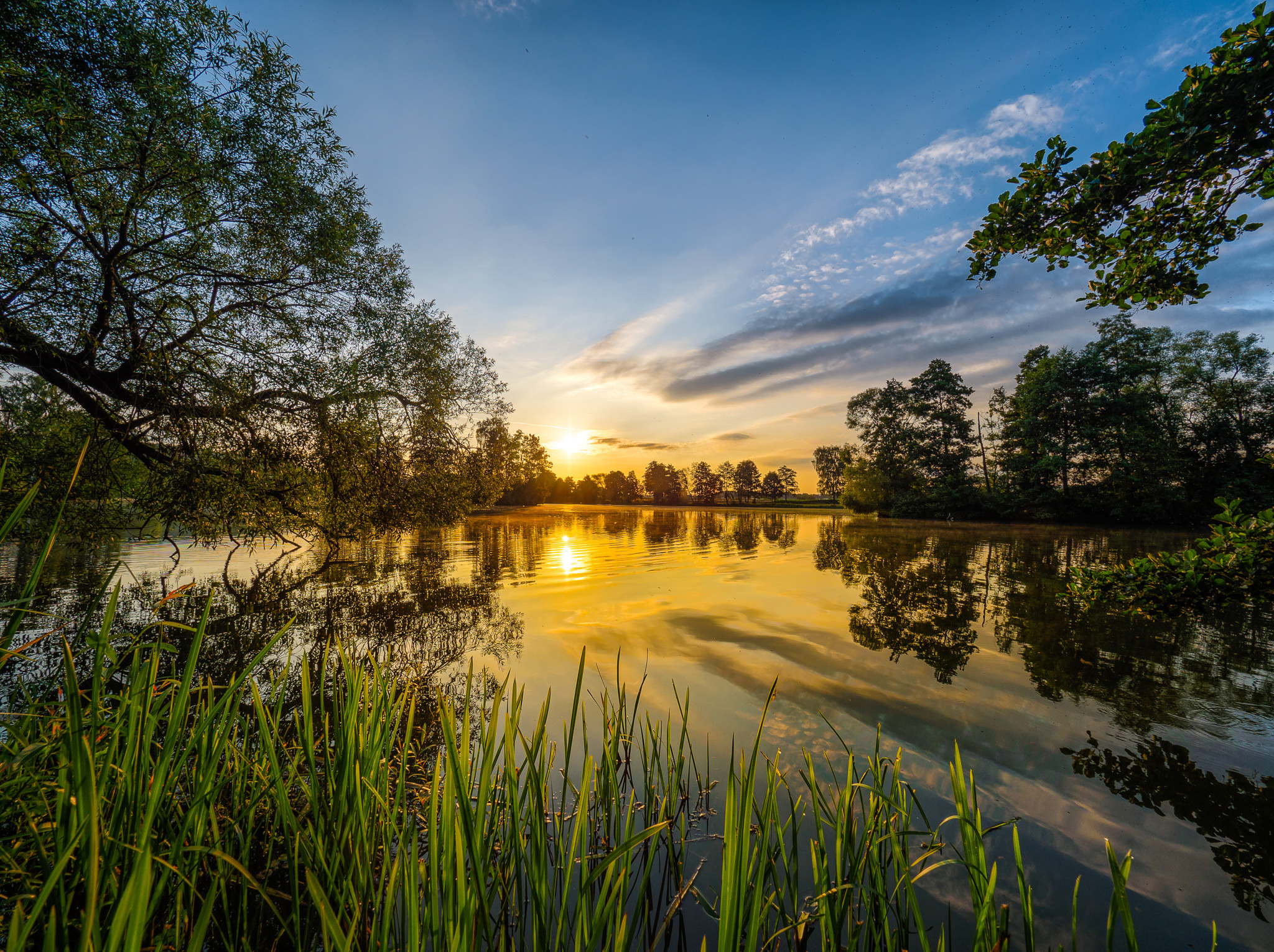 Free download wallpaper Nature, Sunset, Reflection, Tree, Earth, River, Germany on your PC desktop