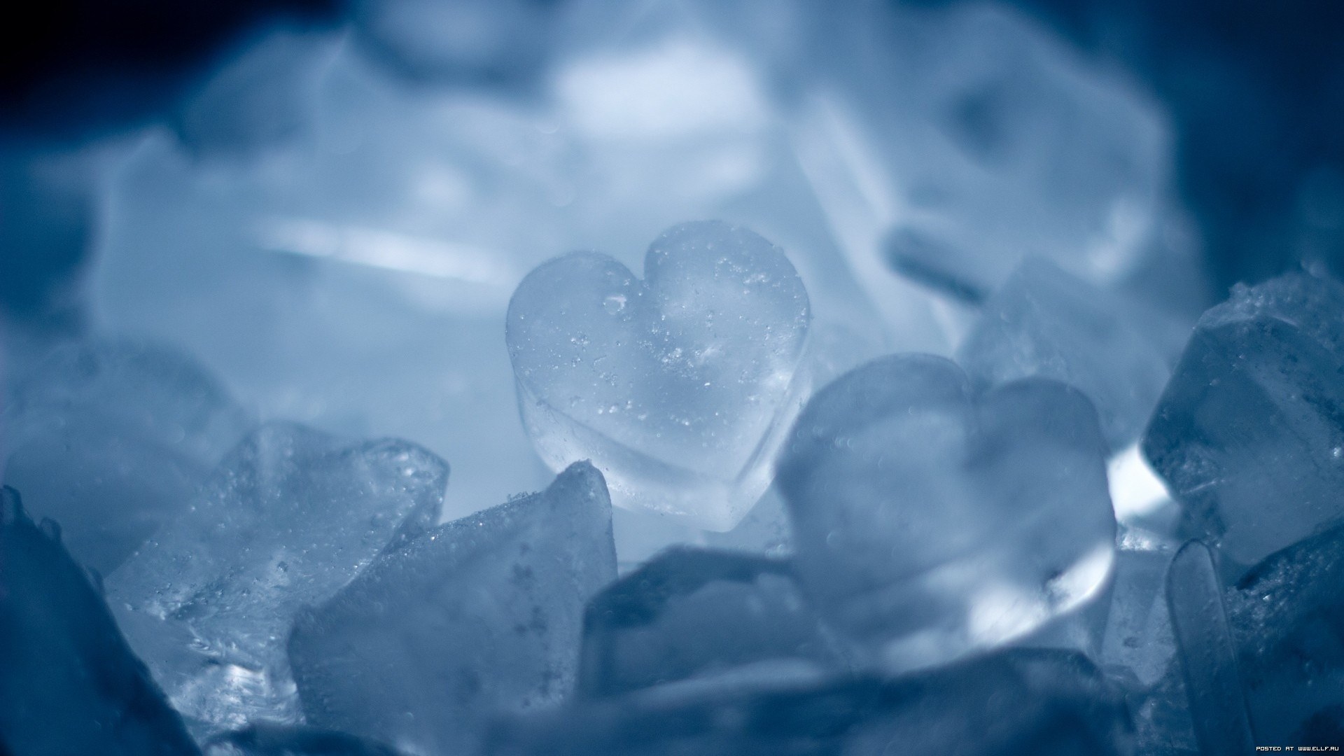 Laden Sie das Eis, Hintergrund, Herzen-Bild kostenlos auf Ihren PC-Desktop herunter