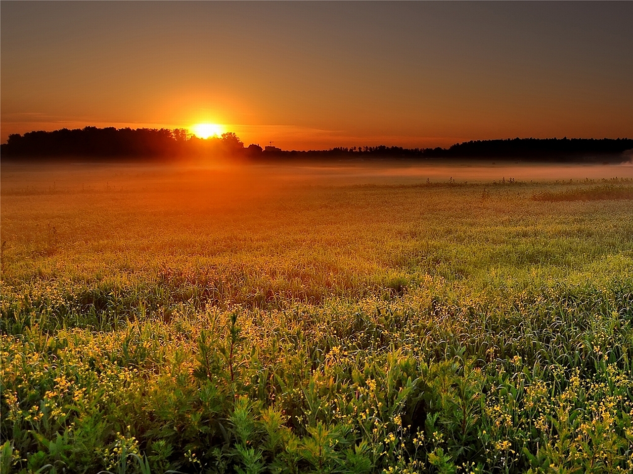 Free download wallpaper Sunset, Earth on your PC desktop