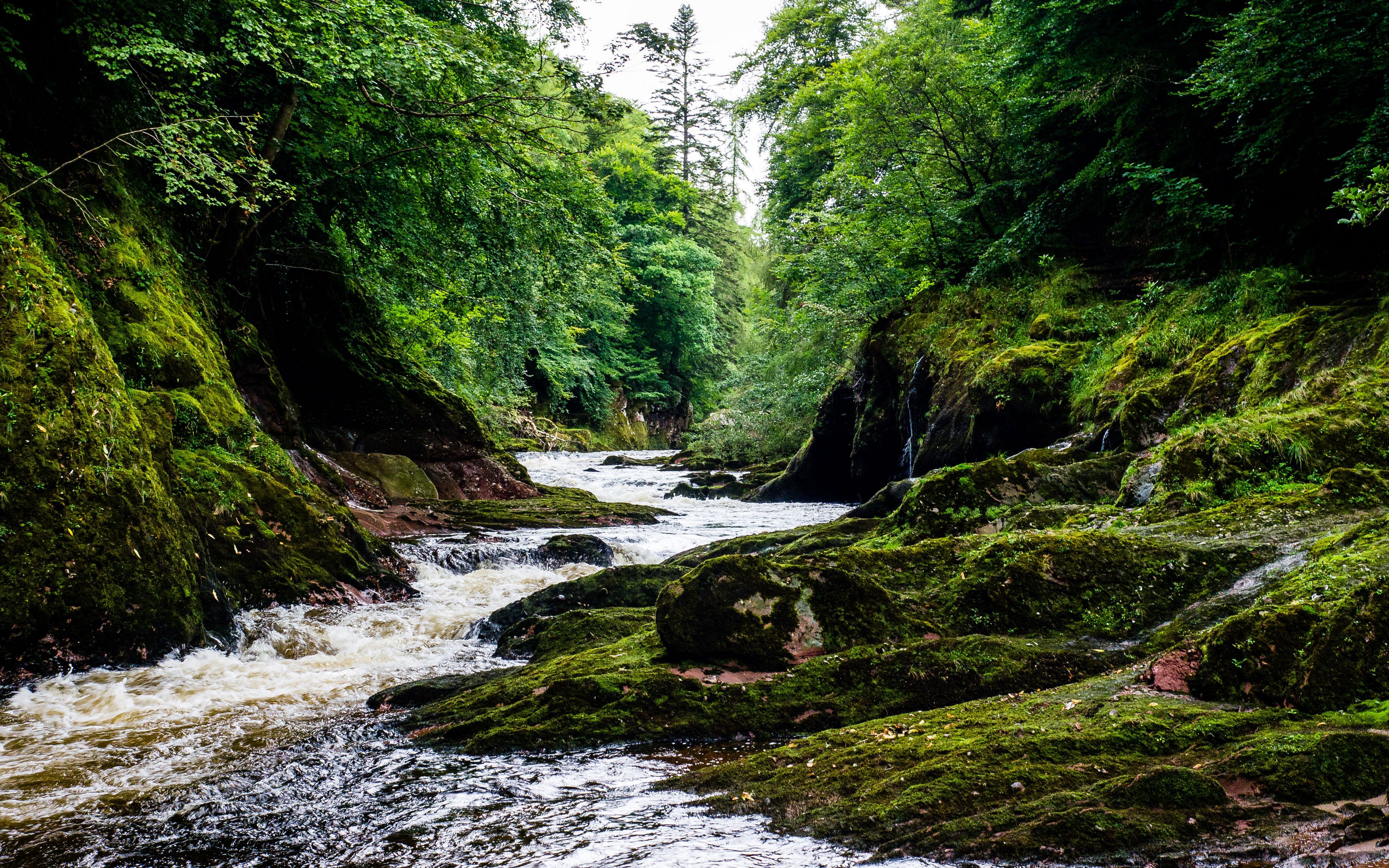 Descarga gratis la imagen Rio, Piedra, Musgo, Chorro, Tierra/naturaleza en el escritorio de tu PC