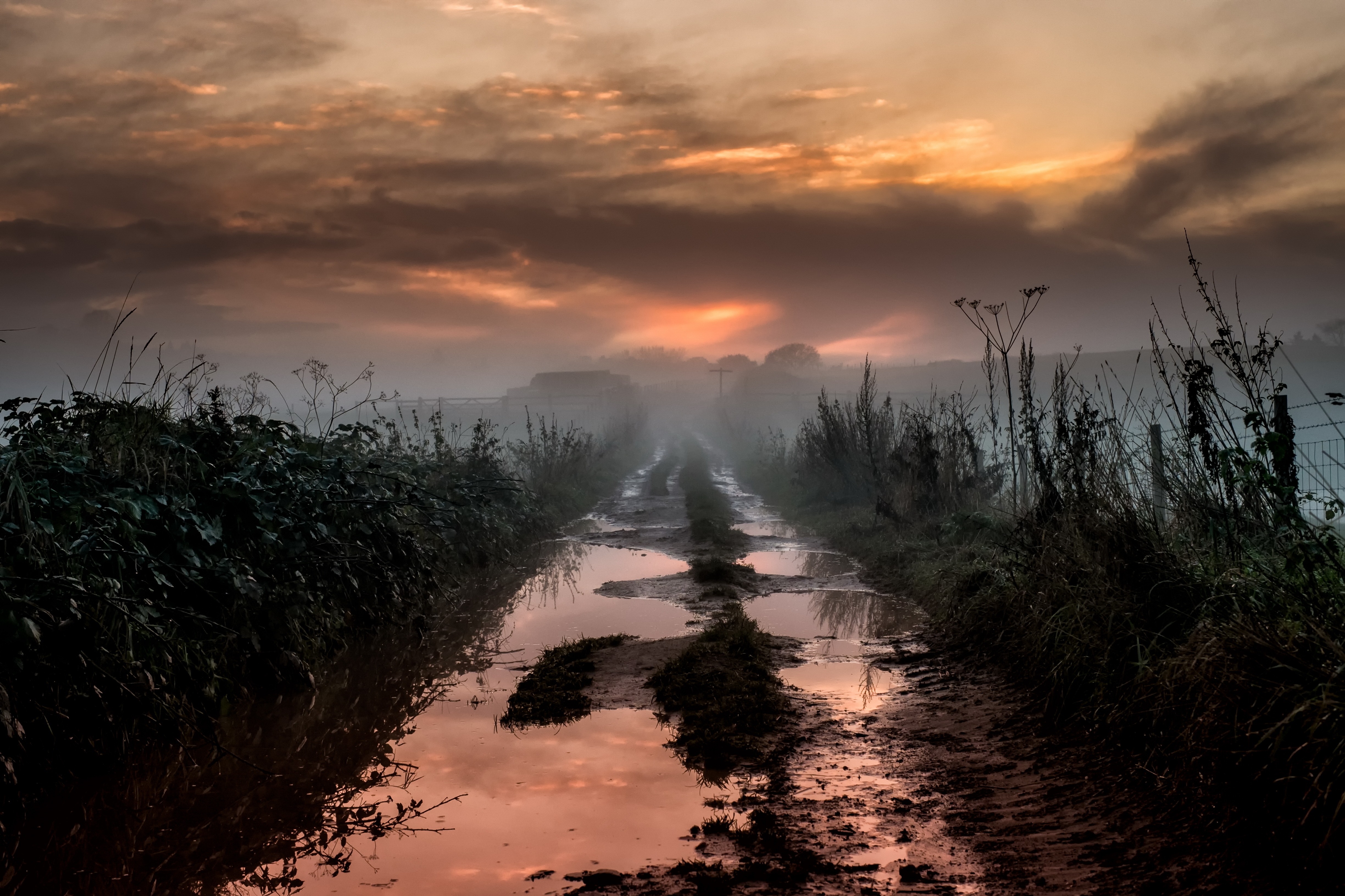 Download mobile wallpaper Nature, Dawn, Fog, Earth, Path, Dirt Road for free.