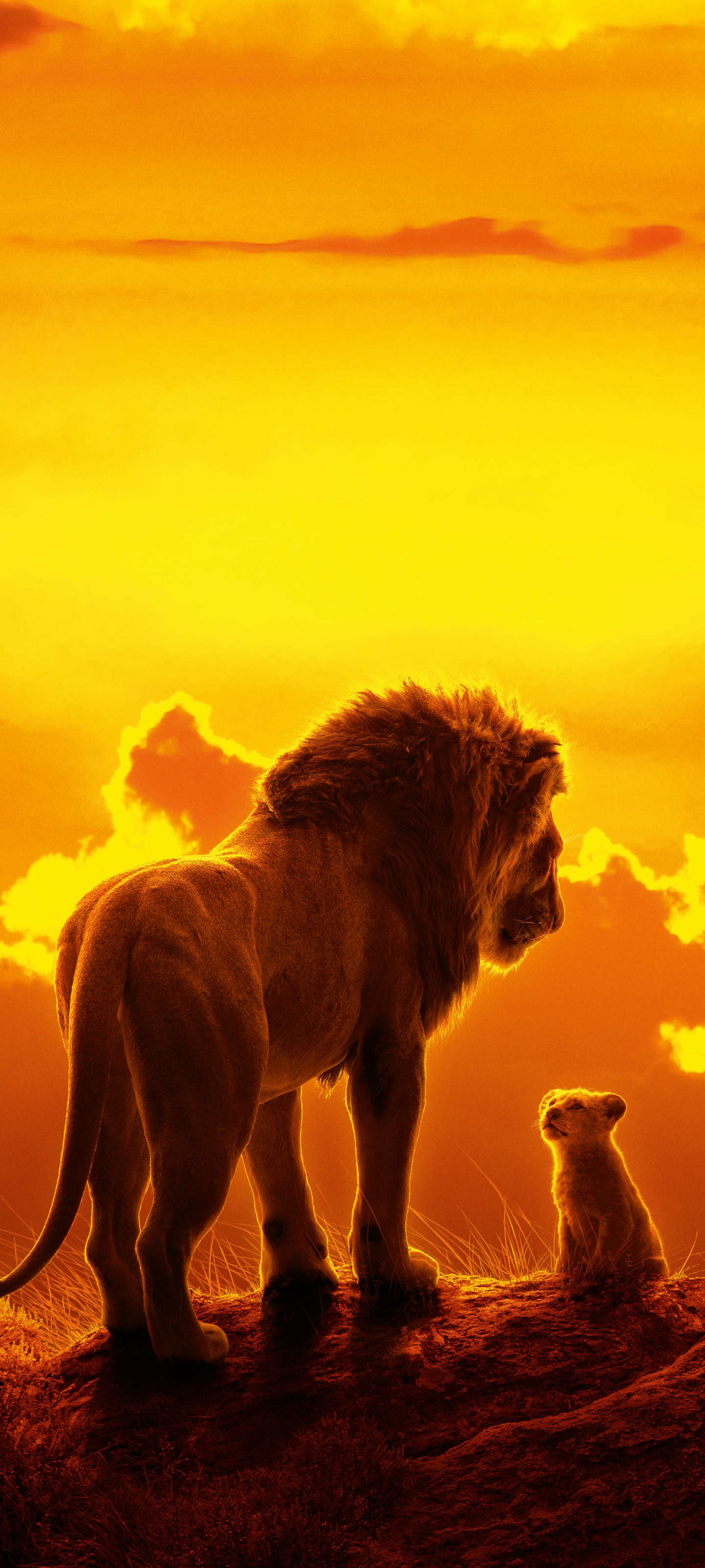 Download mobile wallpaper Lion, Movie, Baby Animal, Mufasa (The Lion King), Simba, The Lion King (2019) for free.
