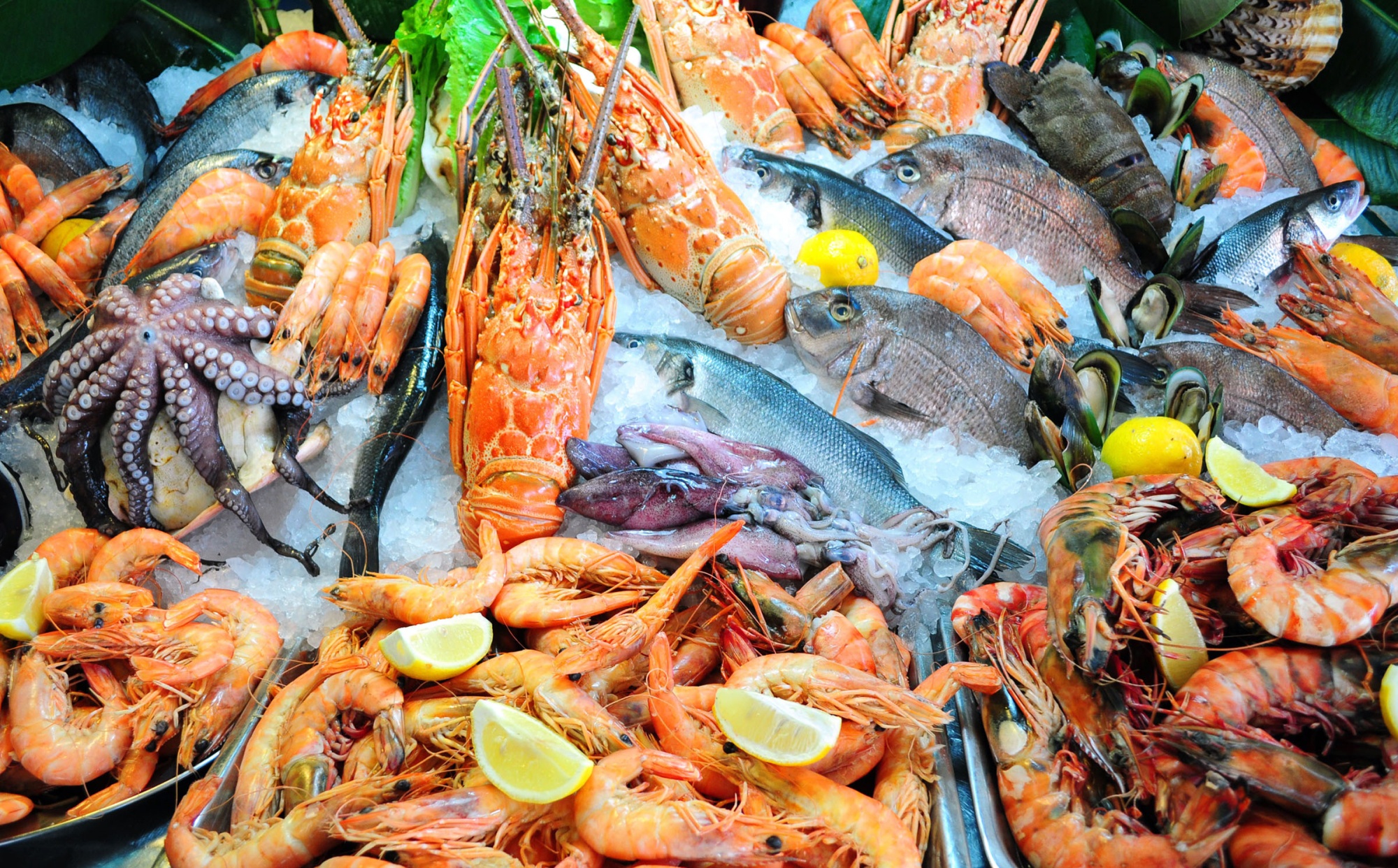 914218 скачать картинку морепродукты, еда, рыба, креветки - обои и заставки бесплатно