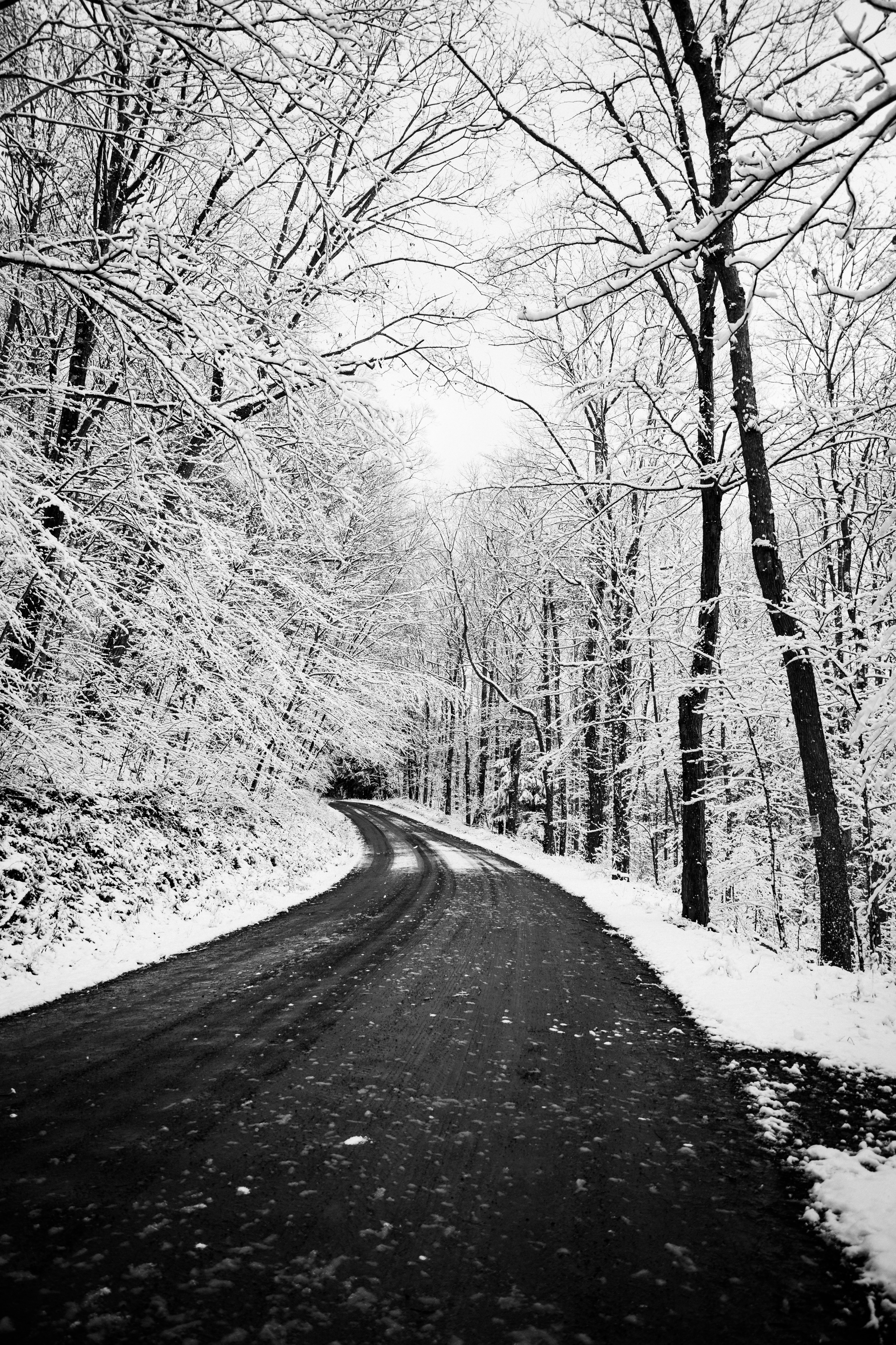 Laden Sie das Bäume, Straße, Wende, Drehen, Natur, Schnee, Winter-Bild kostenlos auf Ihren PC-Desktop herunter