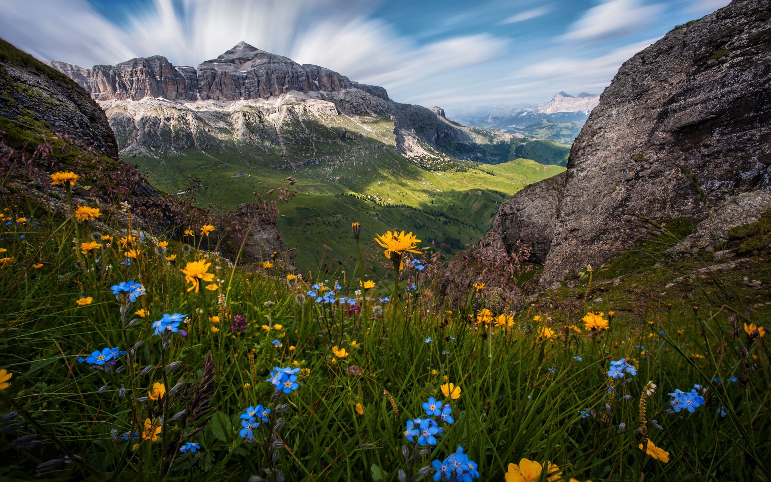 Laden Sie das Landschaft, Blumen, Blume, Wald, Gebirge, Erde/natur-Bild kostenlos auf Ihren PC-Desktop herunter