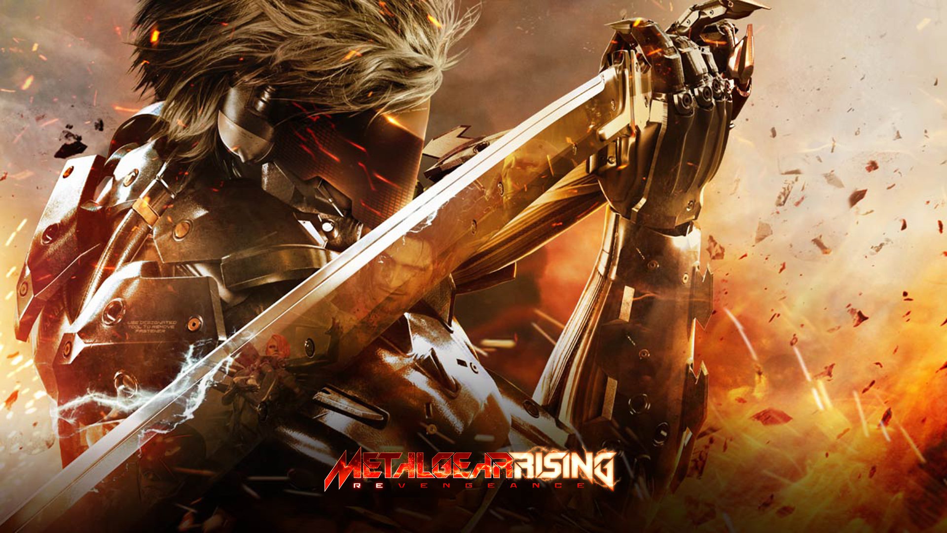 Популярні заставки і фони Metal Gear Rising на комп'ютер