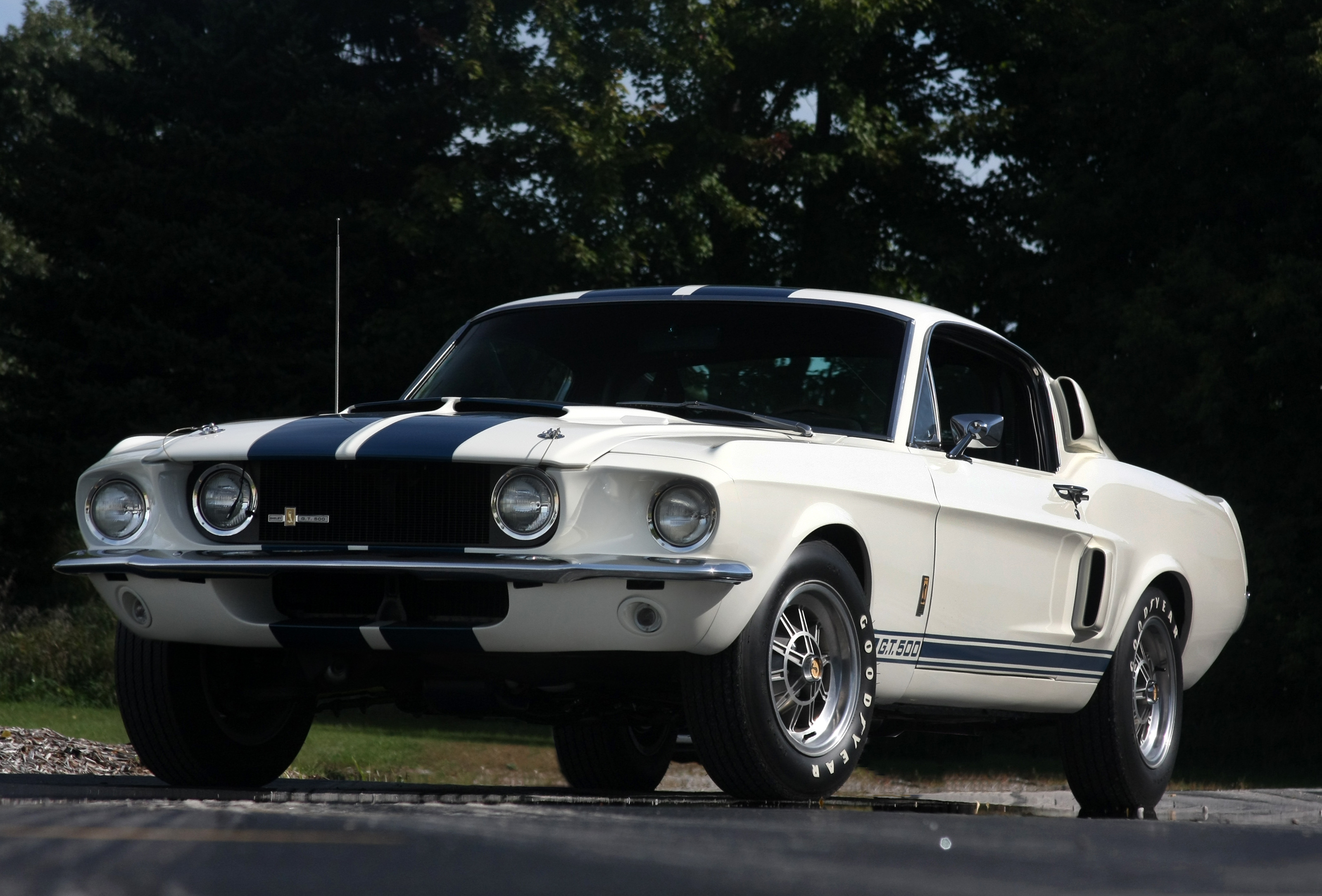 vehicles, shelby gt500, fastback, muscle car, white car, ford