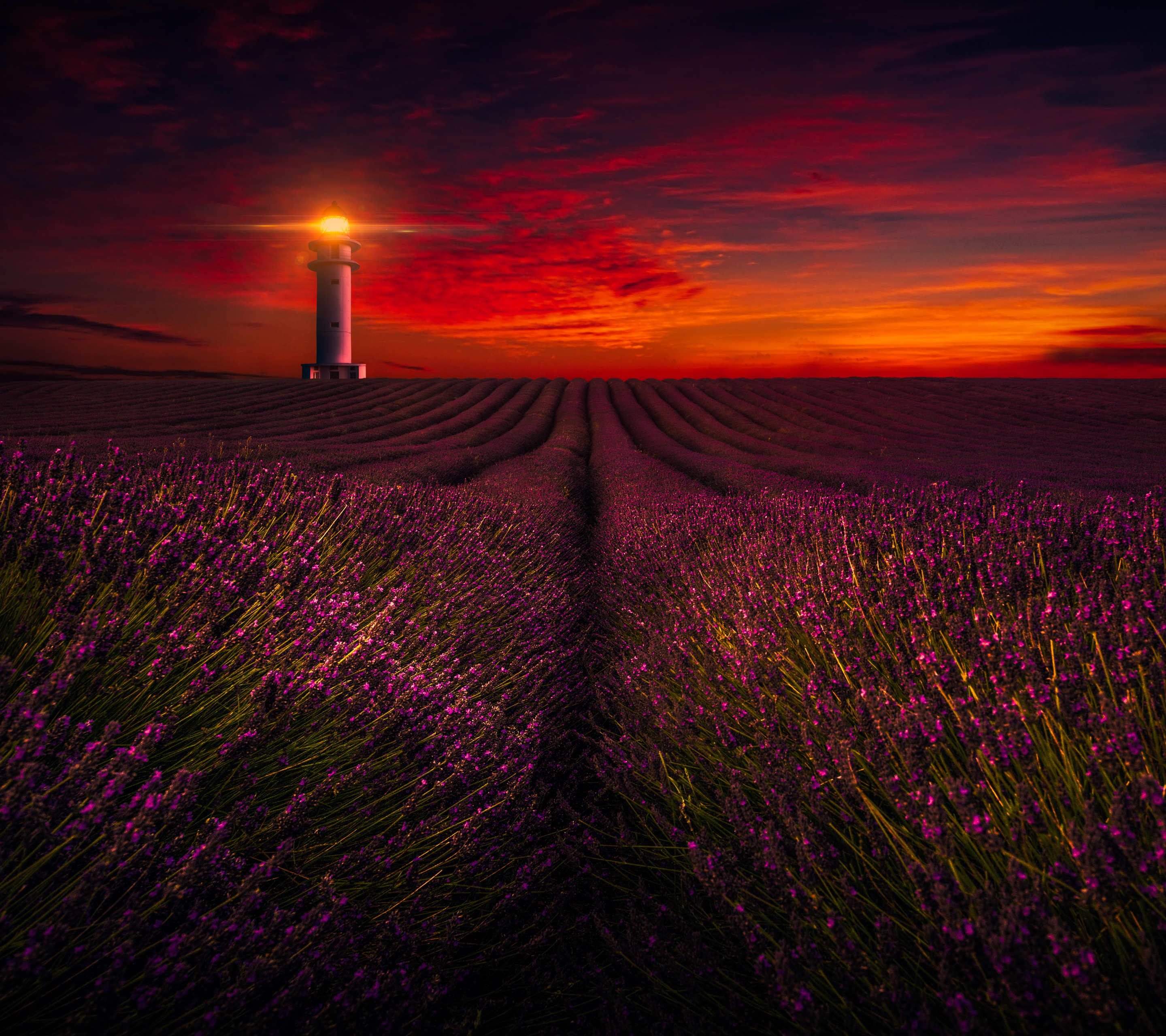 Free download wallpaper Landscape, Field, Lighthouse, Lavender, Photography, Purple Flower on your PC desktop