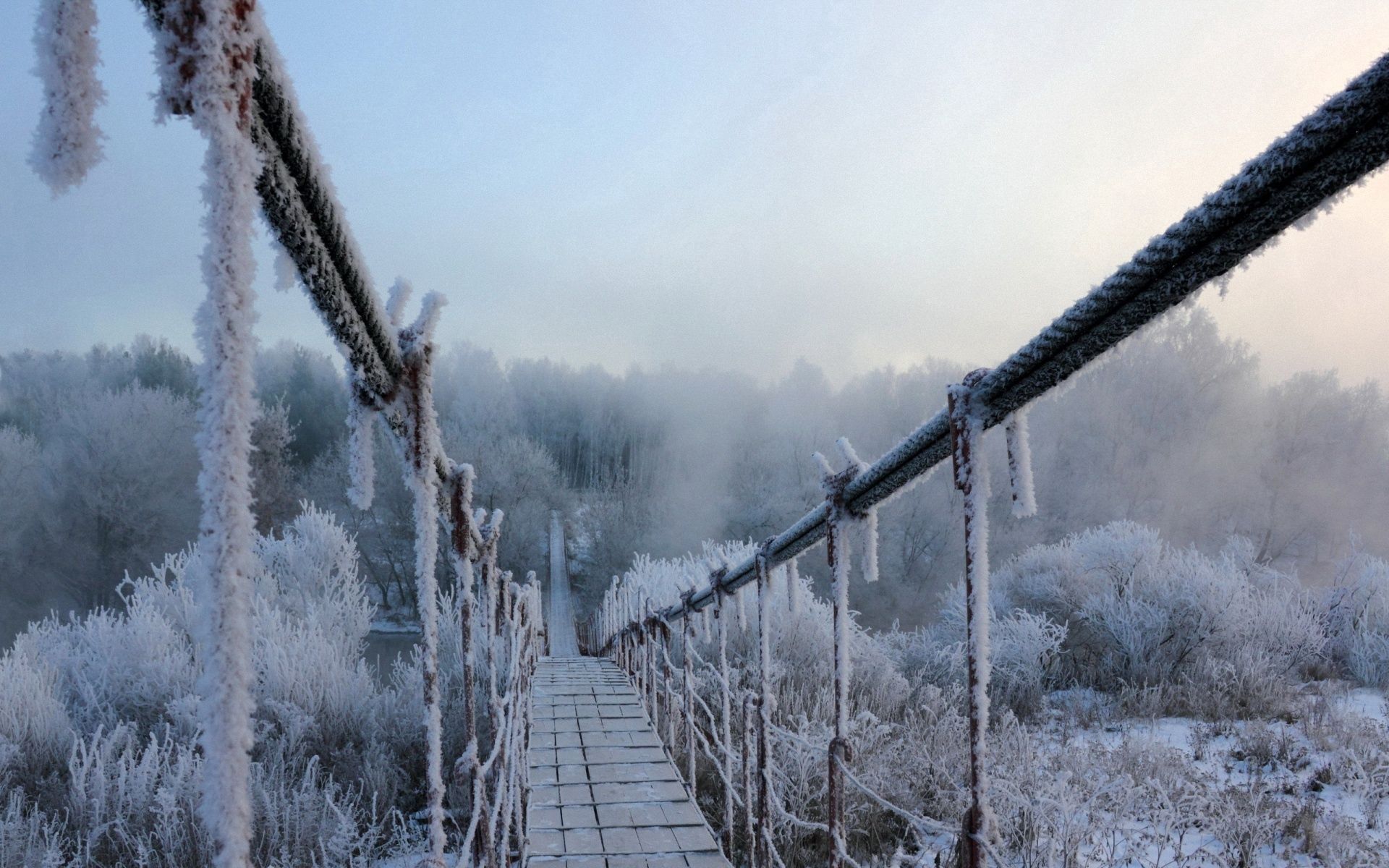 winter, nature, height, bridge, suspension, hanging, frost, hoarfrost, cold Full HD