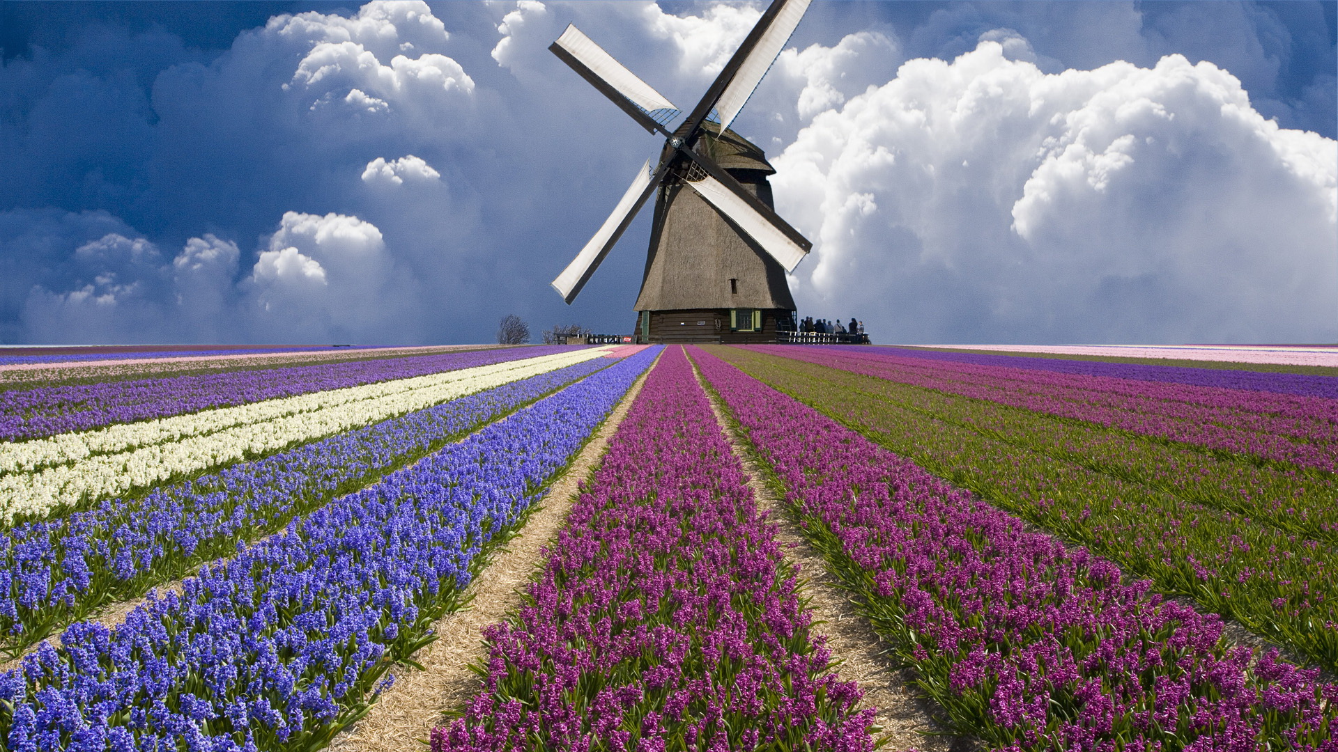 Free download wallpaper Windmill, Man Made on your PC desktop