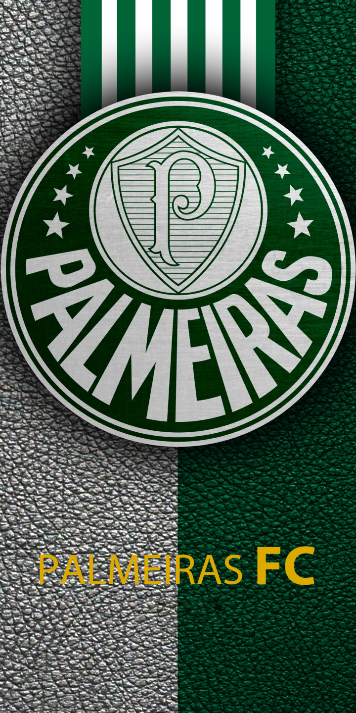 Baixar papel de parede para celular de Esportes, Futebol, Logotipo, Sociedade Esportiva Palmeiras gratuito.