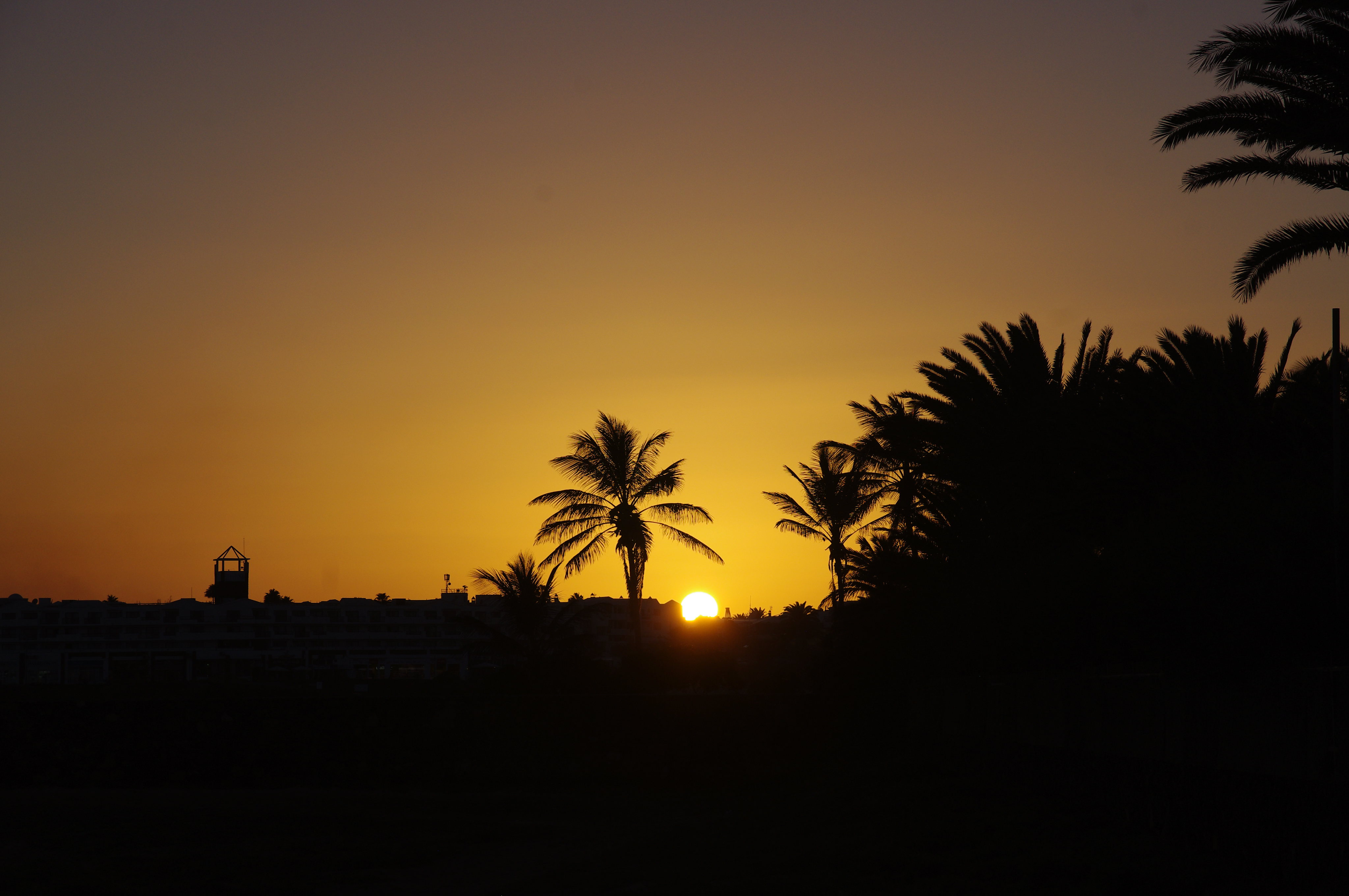 Full HD nature, sunset, sun, palms, silhouette